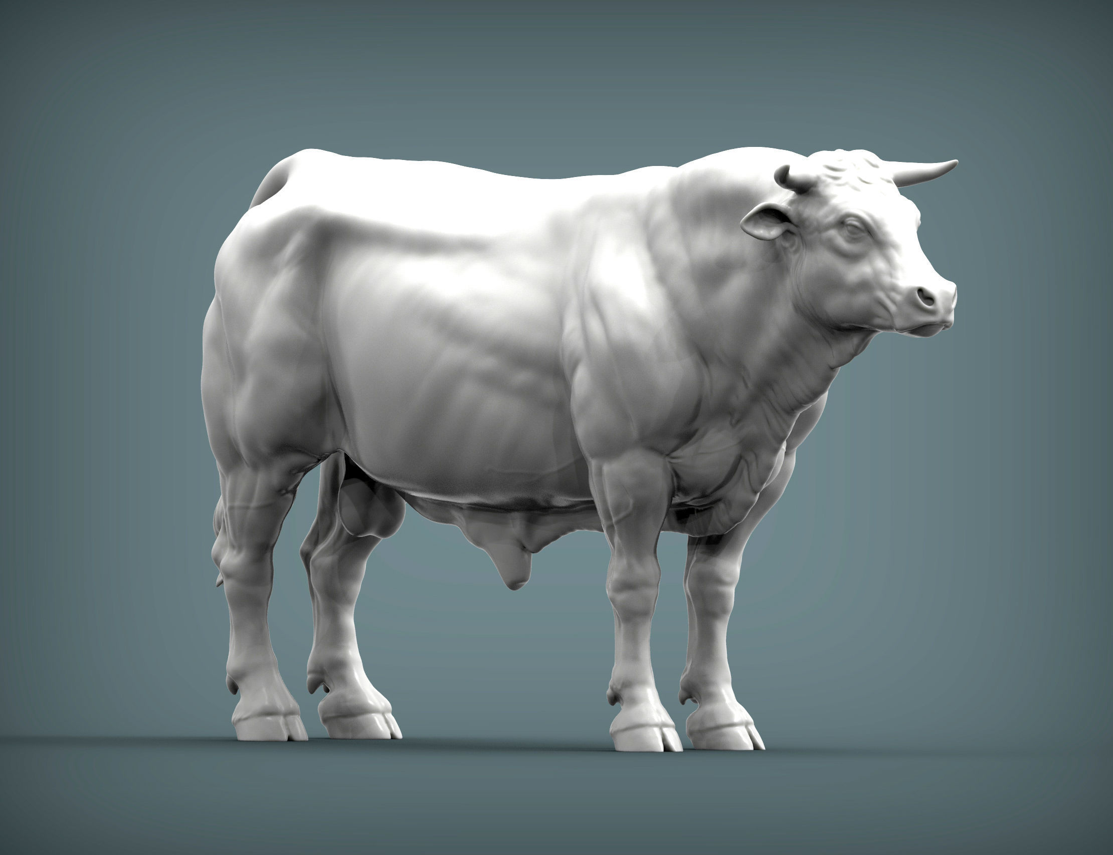 Limousin bull 3D print model_6