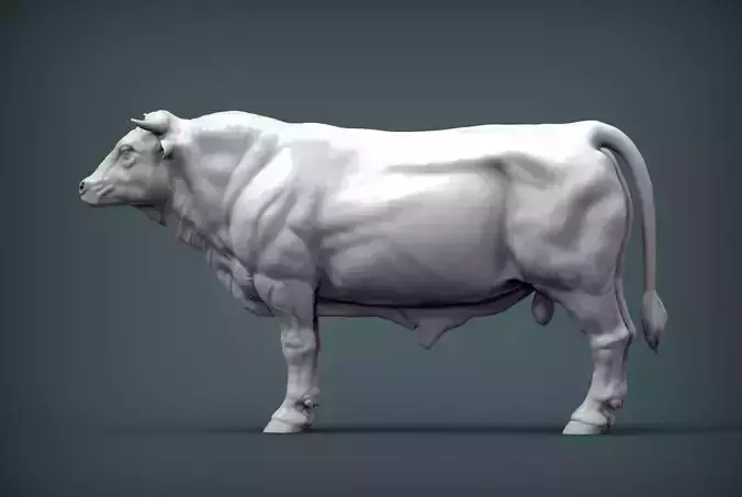 Limousin bull 3D print model