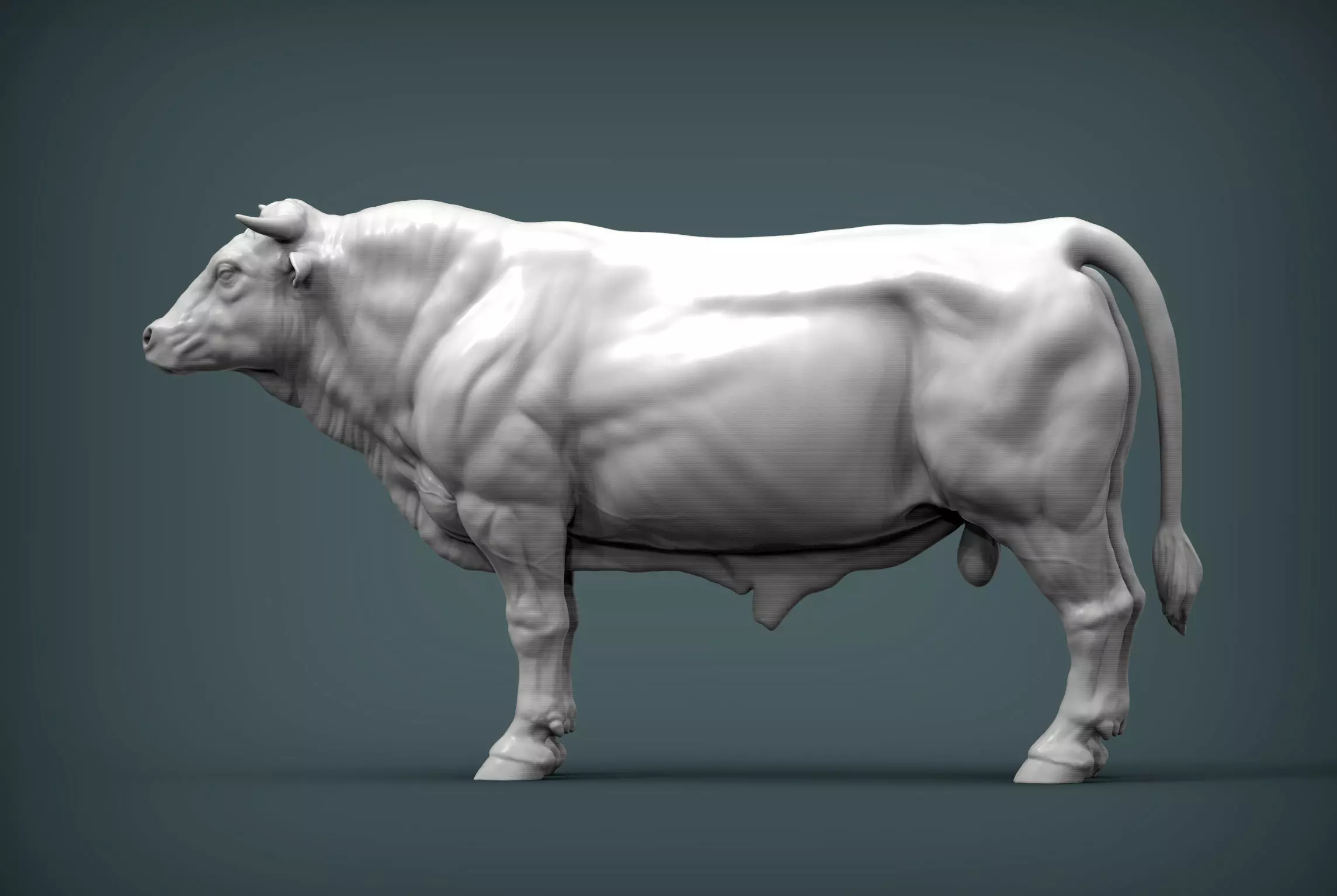 Limousin bull 3D print model_0