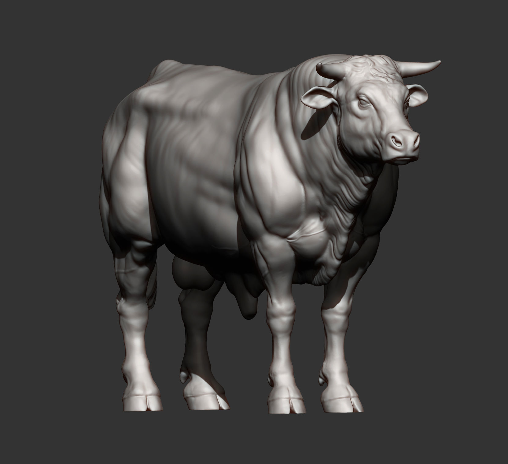 Limousin bull 3D print model_7