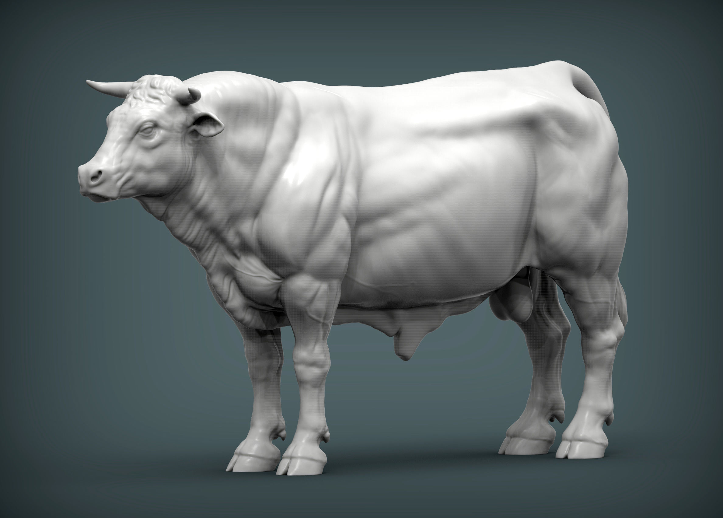Limousin bull 3D print model_1