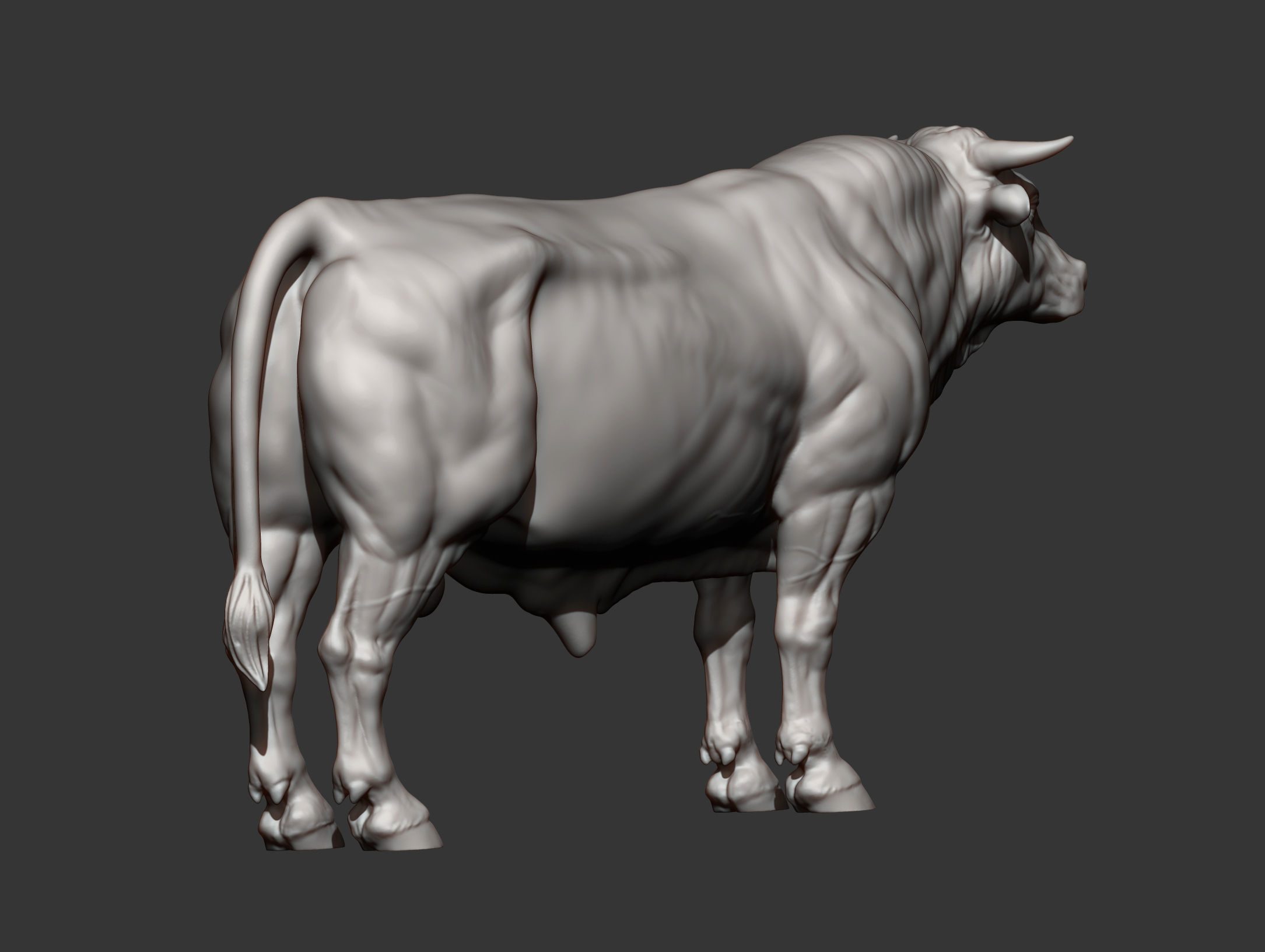 Limousin bull 3D print model_9