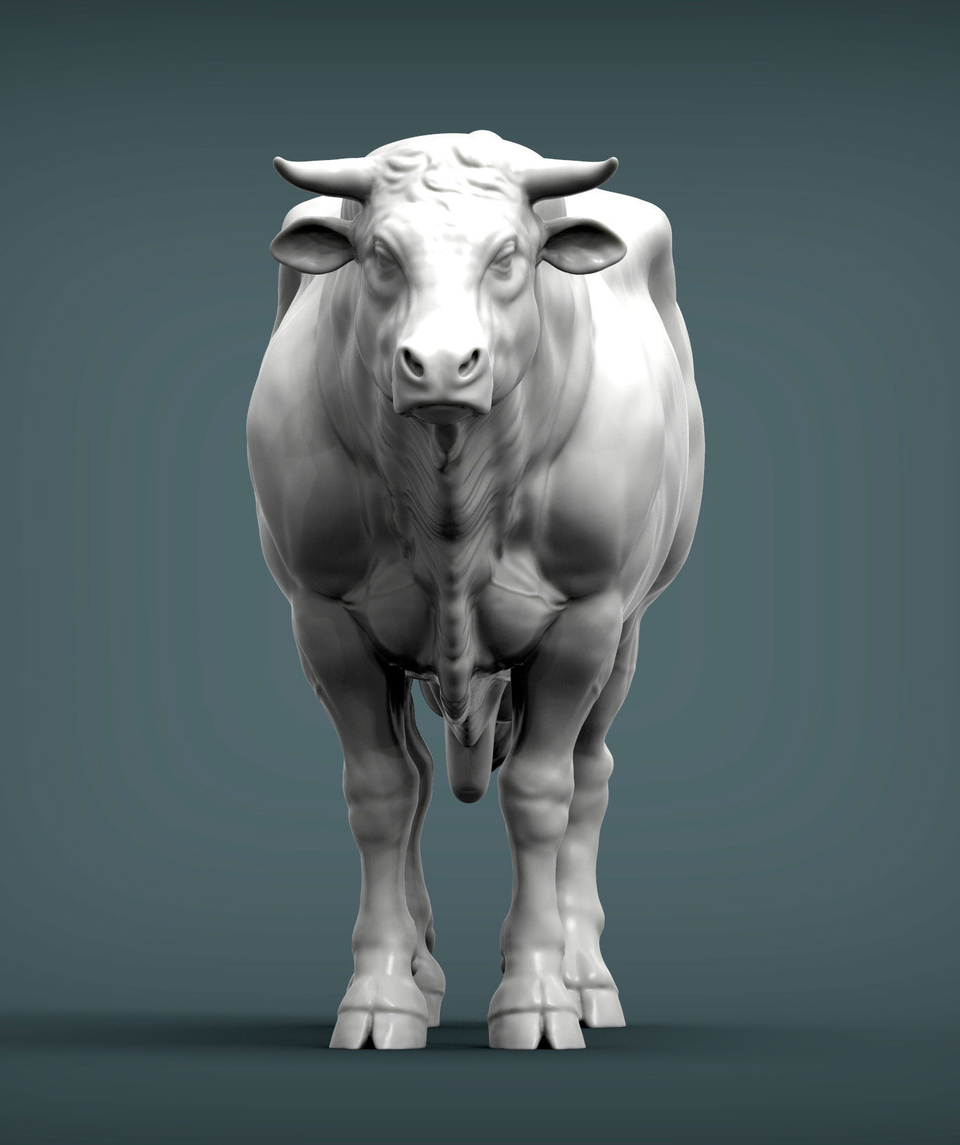 Limousin bull 3D print model_4