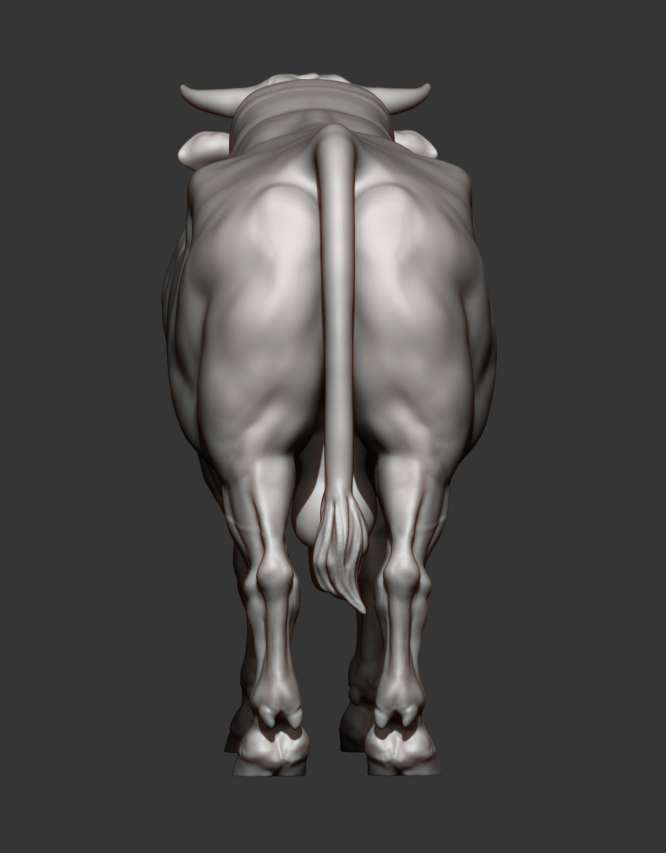 Limousin bull 3D print model_5