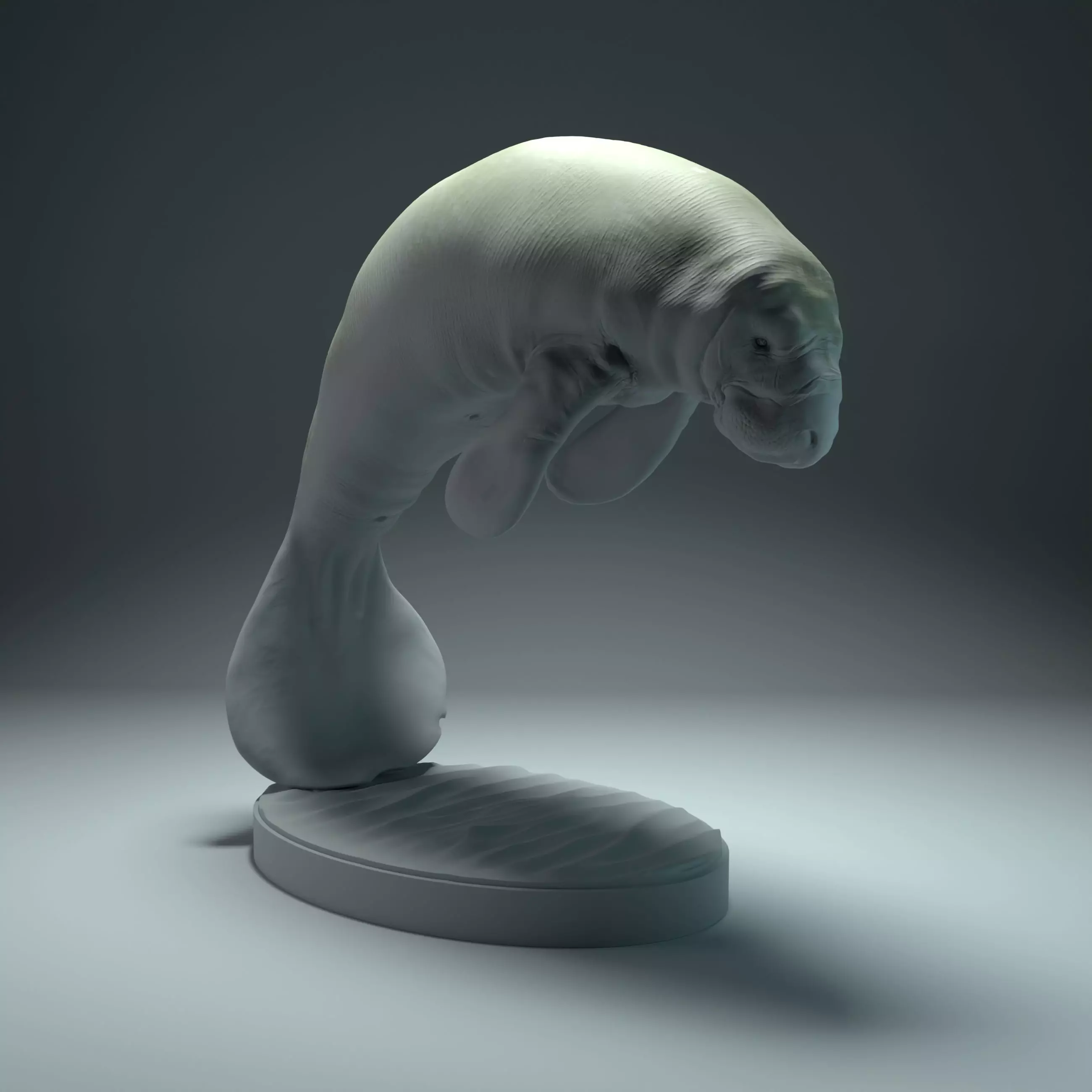 Manatee 3D print model_0