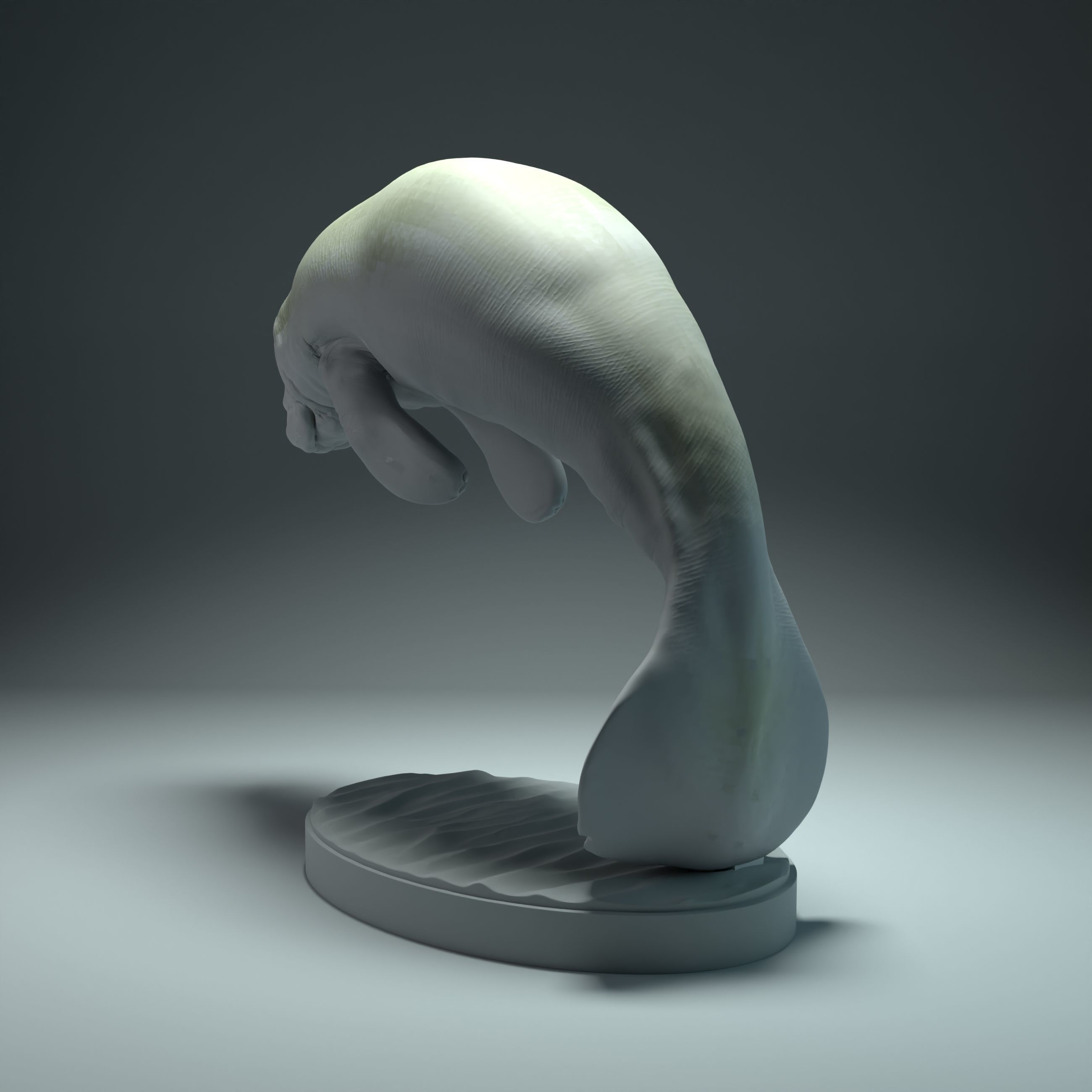 Manatee 3D print model_2