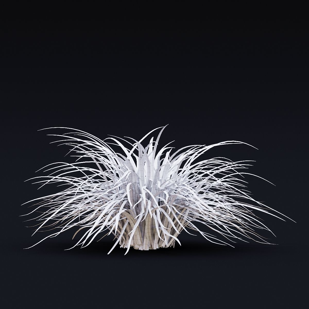Carex morrowii Ice Dance ornamental grass 3D model_10