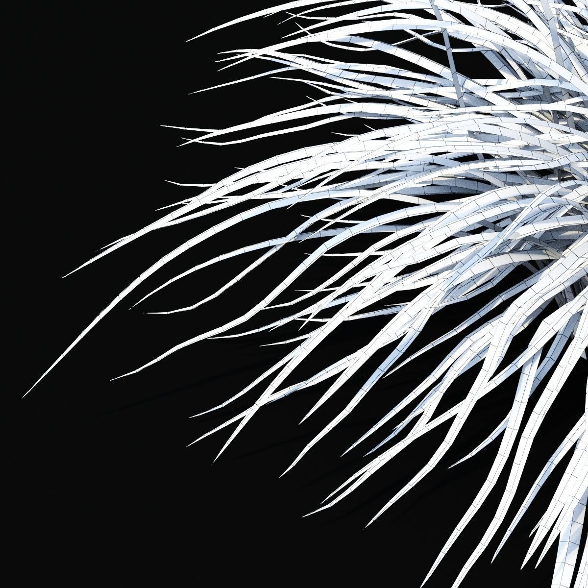 Carex morrowii Ice Dance ornamental grass 3D model_5