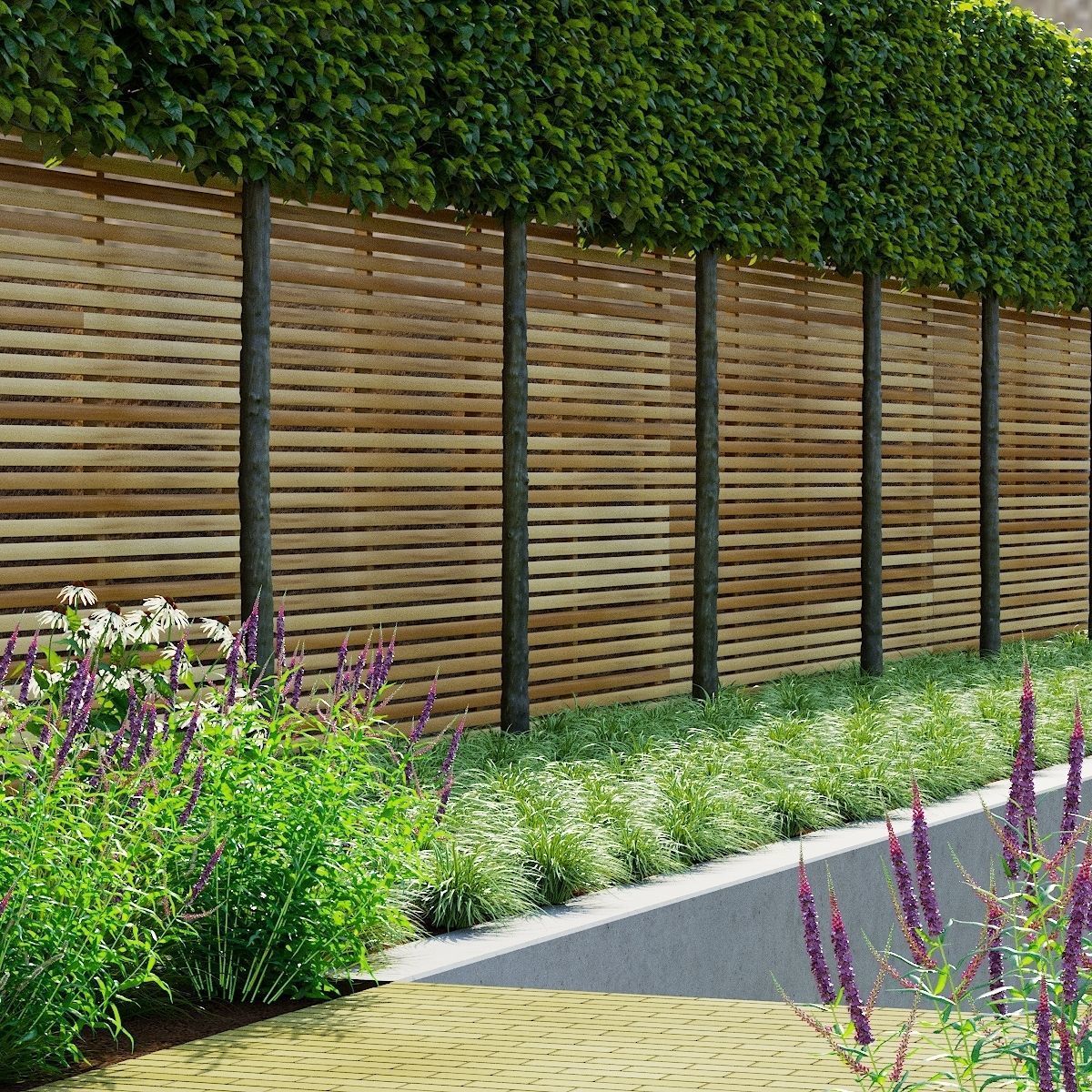 Carex morrowii Ice Dance ornamental grass 3D model_1