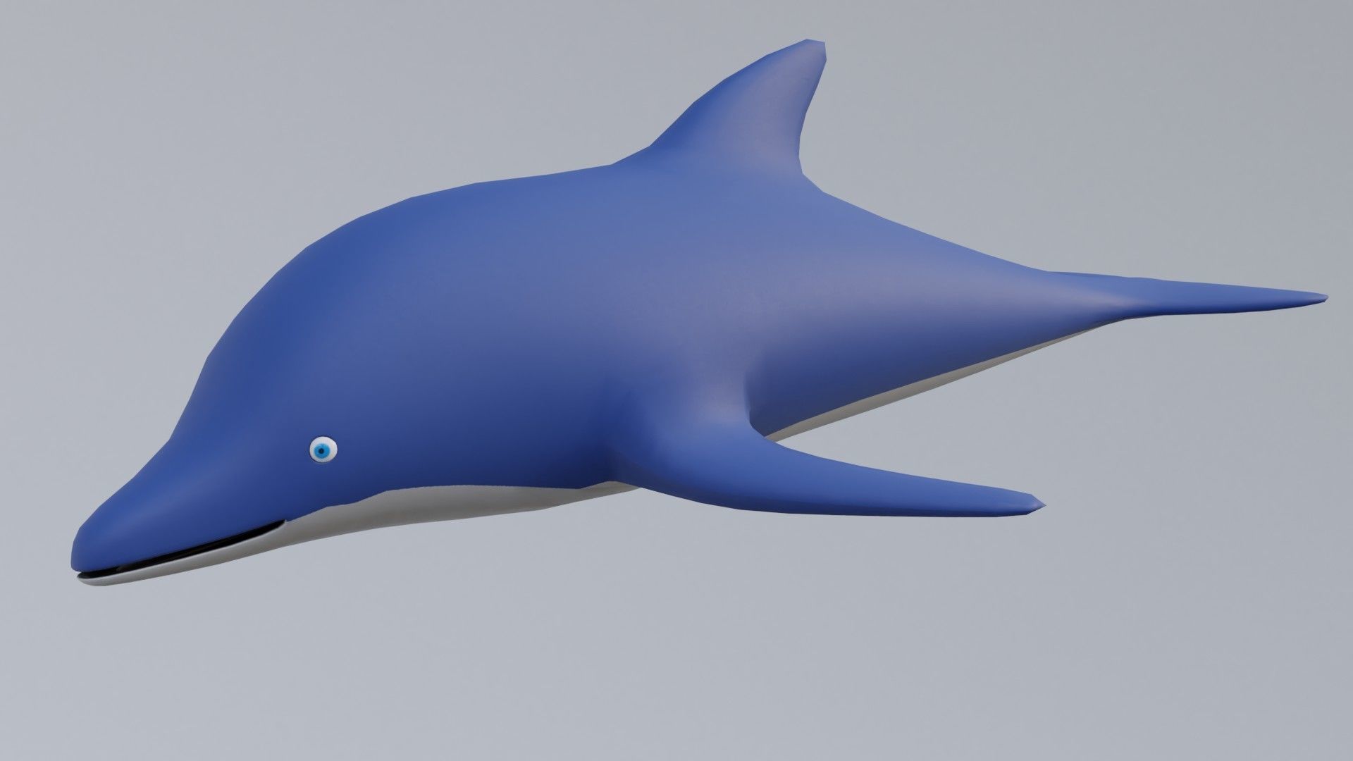 Cartoon Dolphin 3D model_2