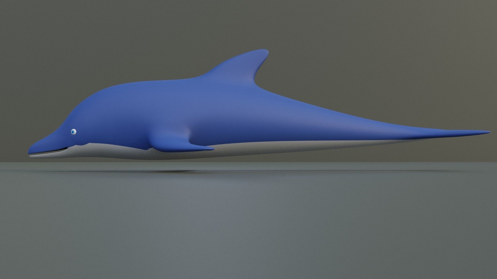 Cartoon Dolphin 3D model_5