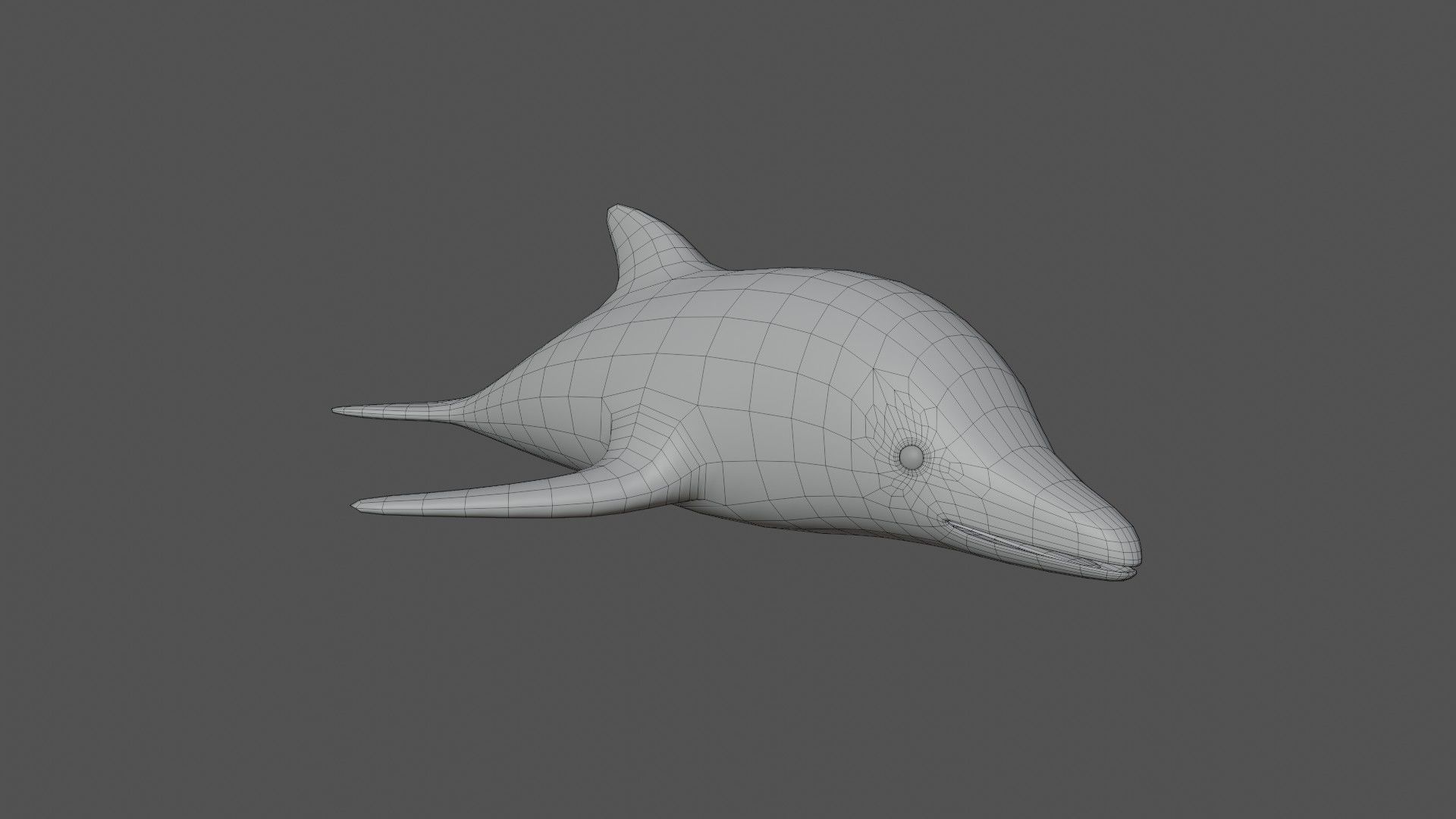 Cartoon Dolphin 3D model_8