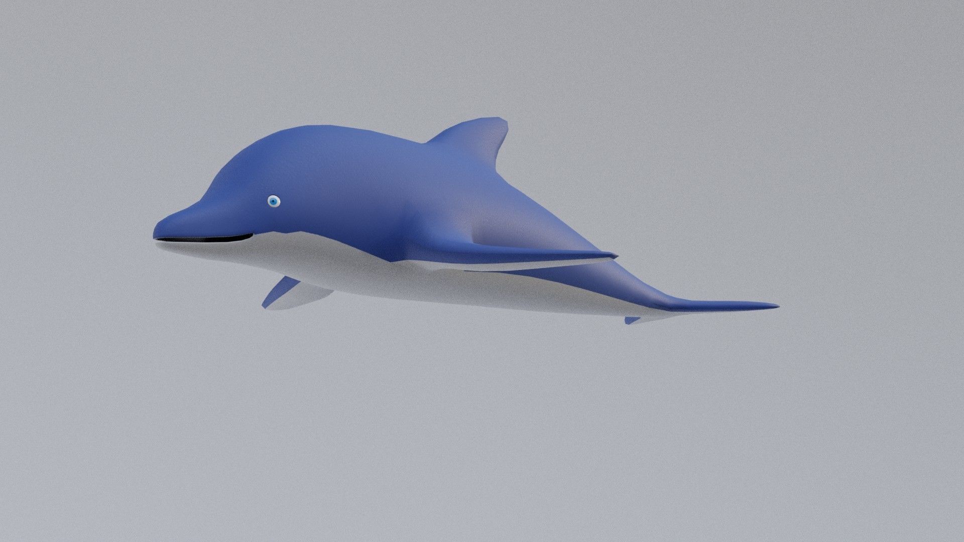Cartoon Dolphin 3D model_1