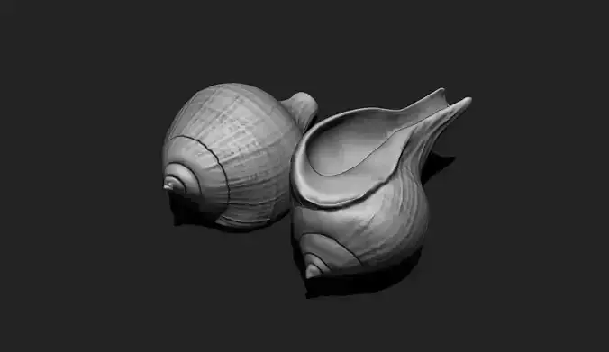 Shell 1 - 3D Print - Aquarium 3D print model