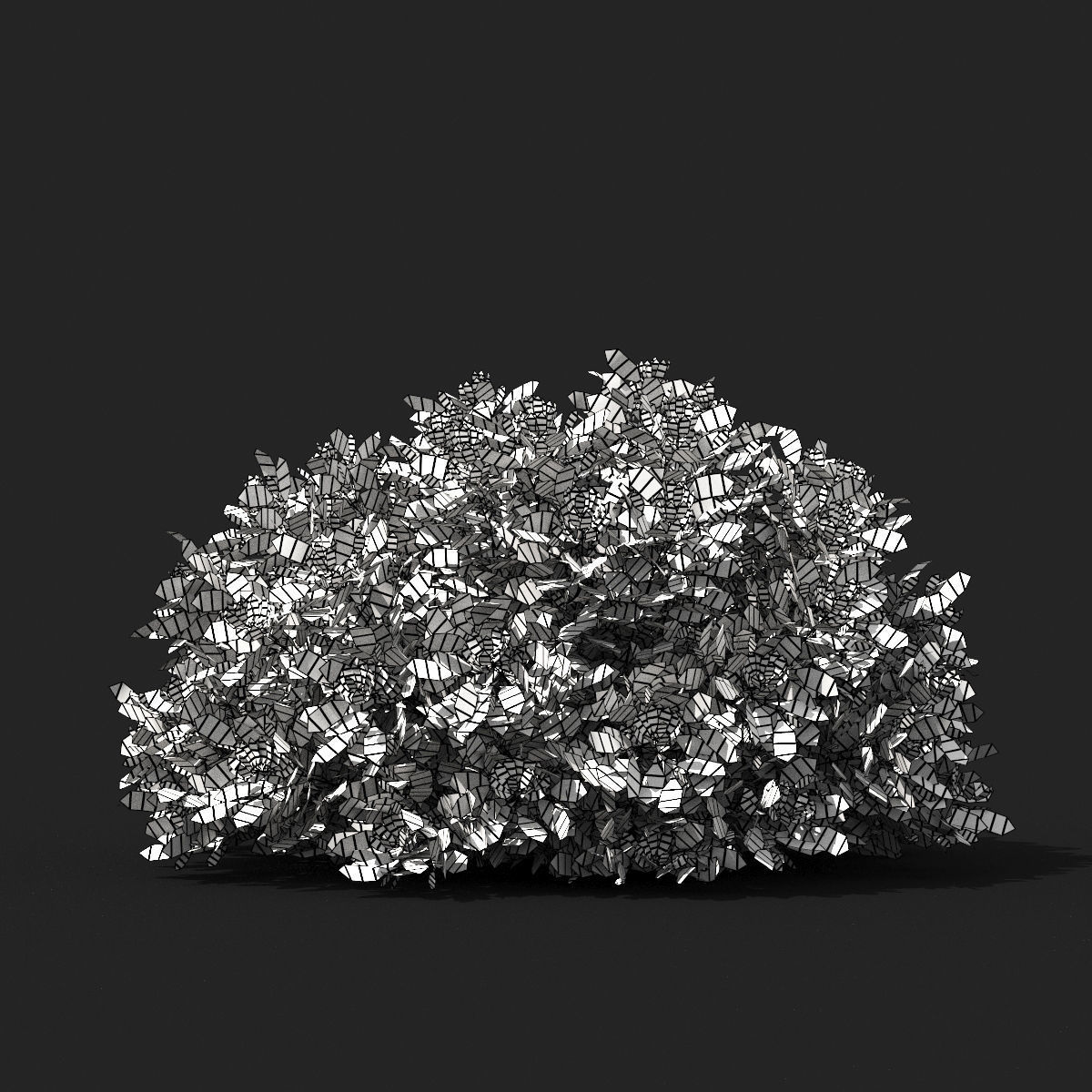  Artemisia schmidtiana 3D model_3