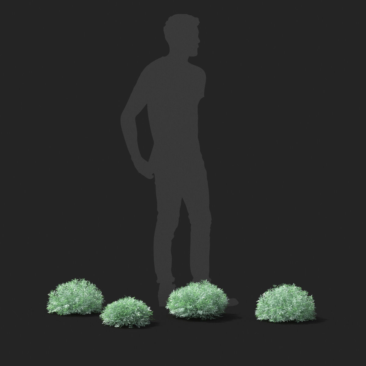  Artemisia schmidtiana 3D model_1