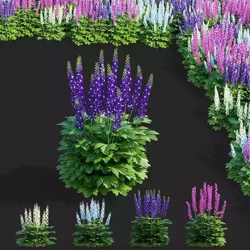 Delphinium hybridum flower