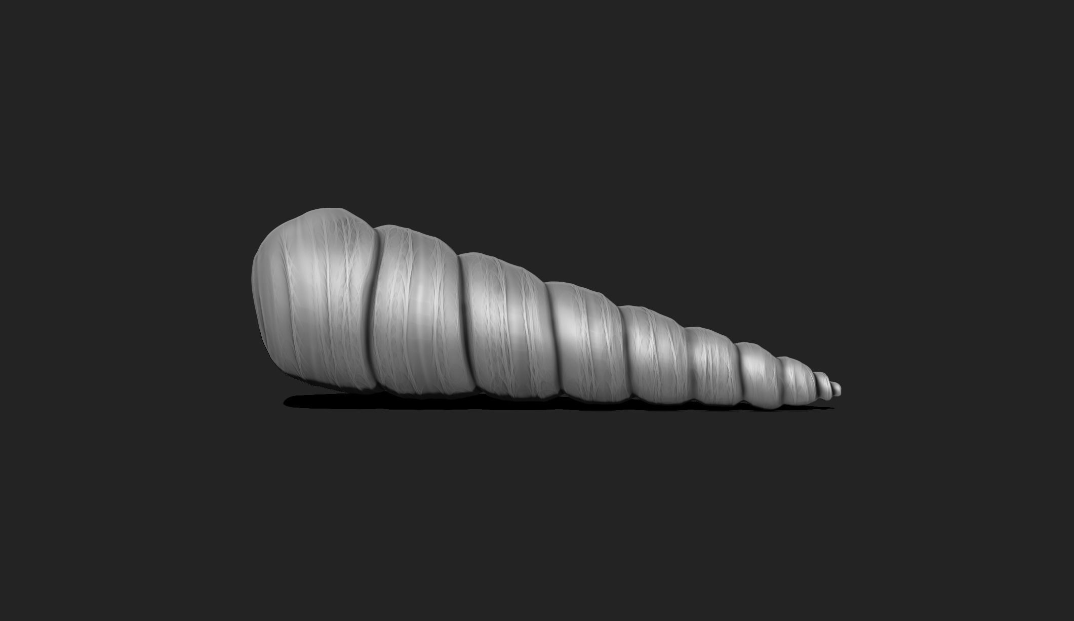 Shell 2 - Sea Shell 3D Printable Model 3D print model_1