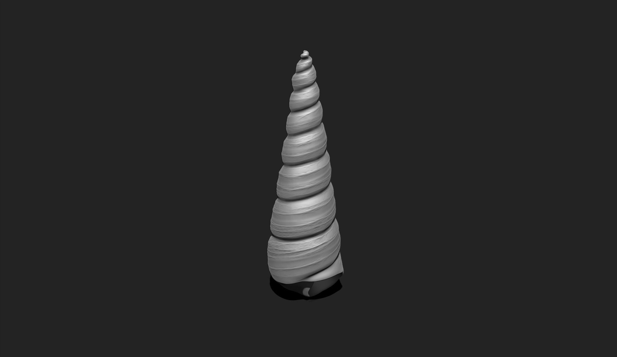 Shell 2 - Sea Shell 3D Printable Model 3D print model_4