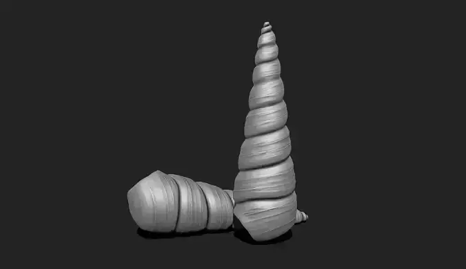Shell 2 - Sea Shell 3D Printable Model 3D print model