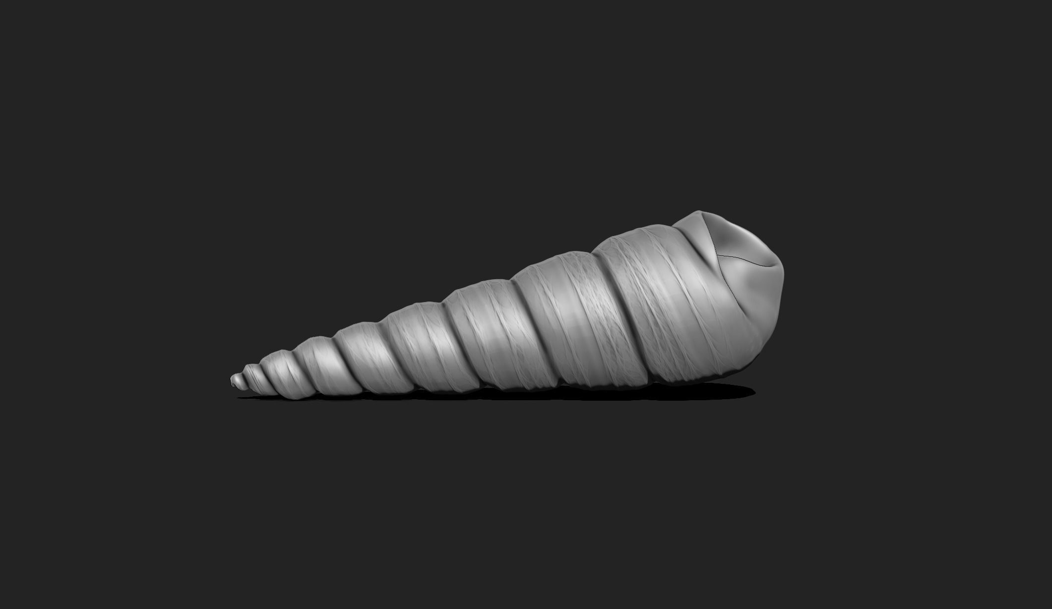 Shell 2 - Sea Shell 3D Printable Model 3D print model_2