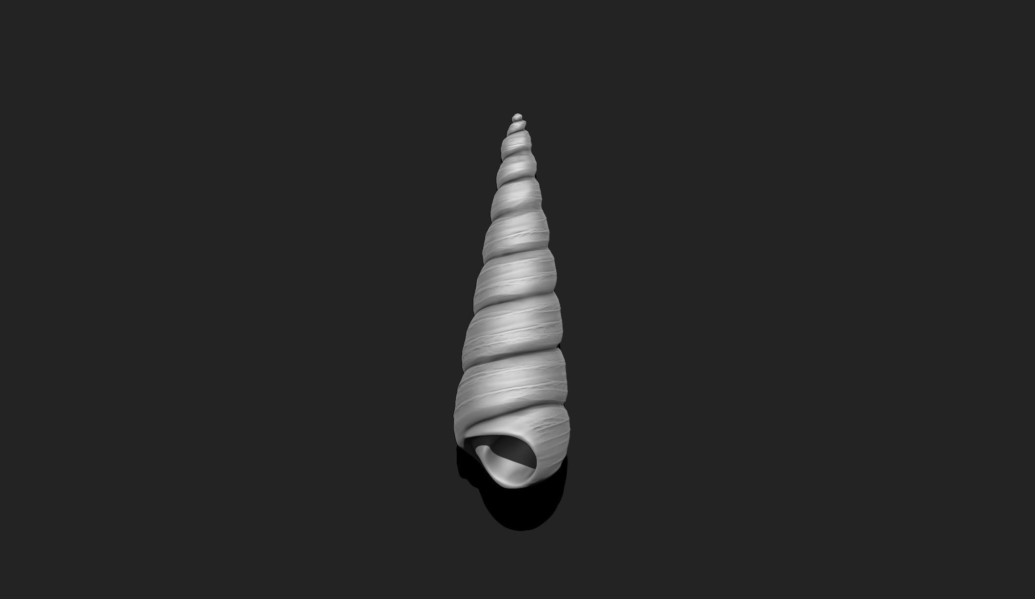 Shell 2 - Sea Shell 3D Printable Model 3D print model_5