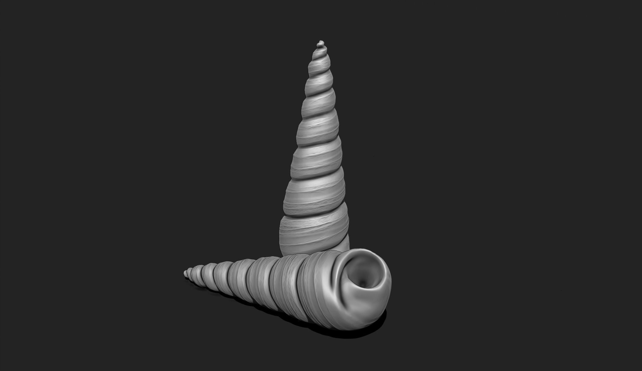 Shell 2 - Sea Shell 3D Printable Model 3D print model_3