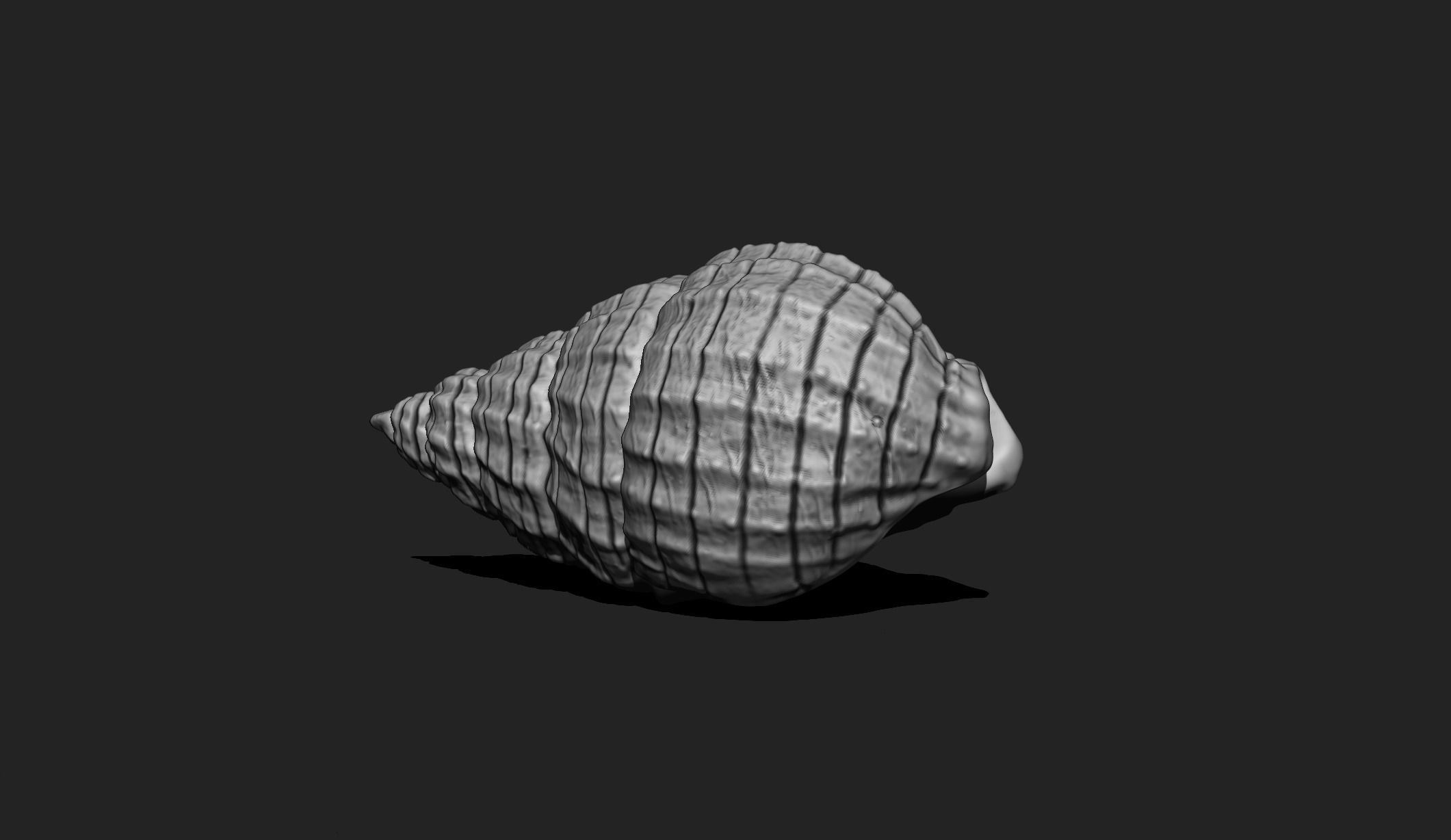 Shell 3 - Sea Shell 3D Printable Model 3D print model_1
