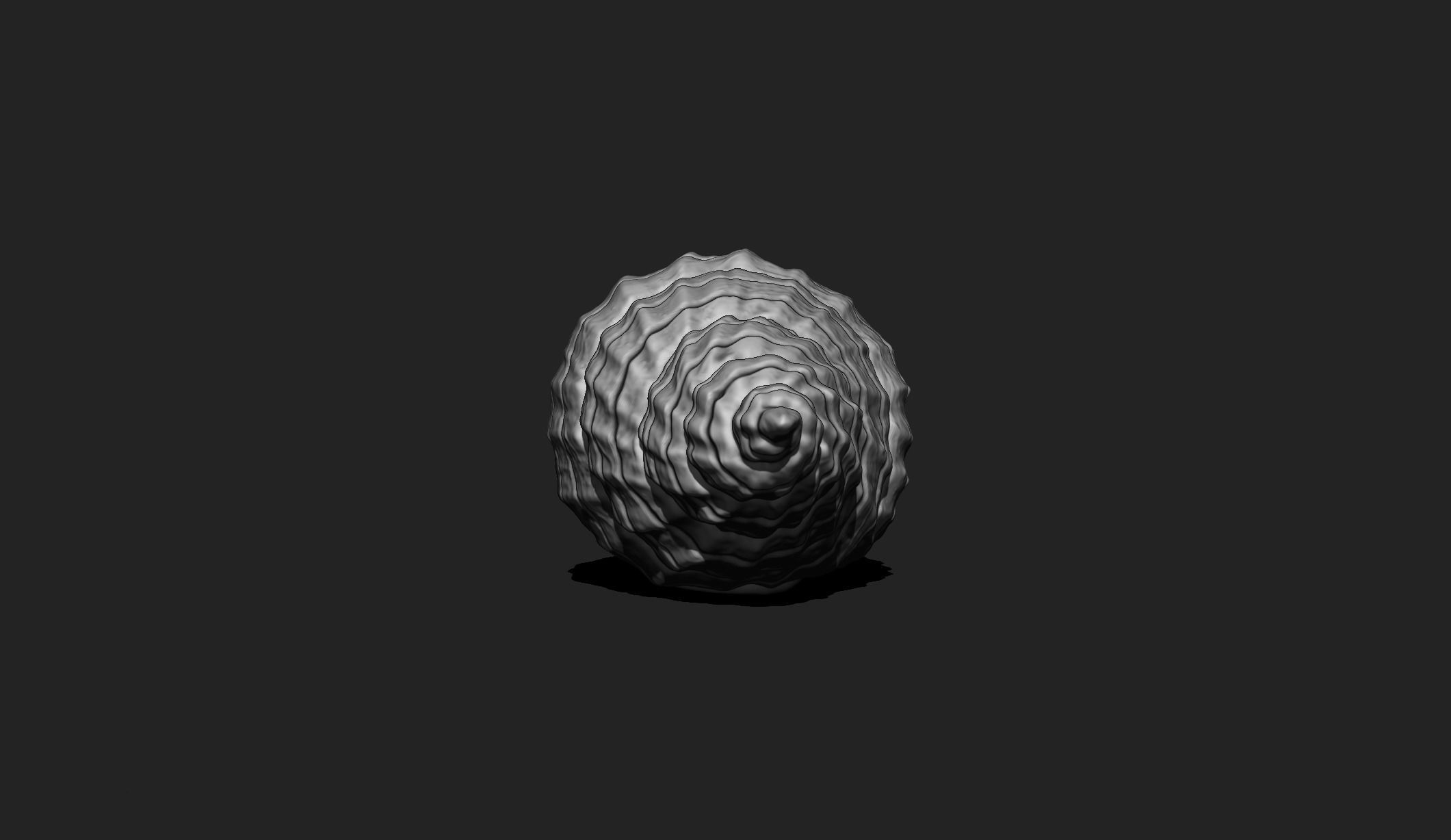 Shell 3 - Sea Shell 3D Printable Model 3D print model_5