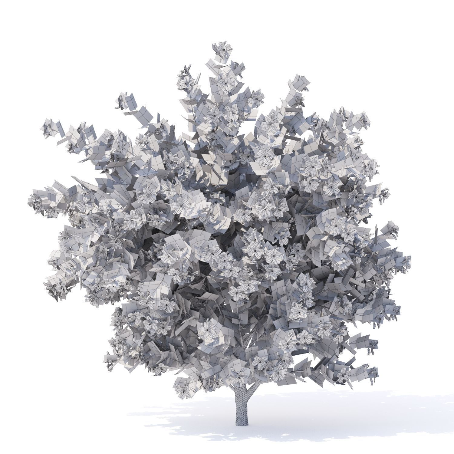 Hibiscus syriacus 3D model_1