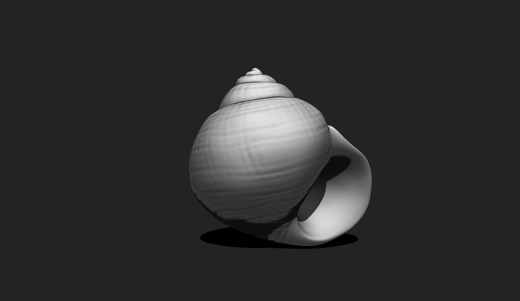 Shell 4 - Sea Shell 3D Printable 3D print model_3