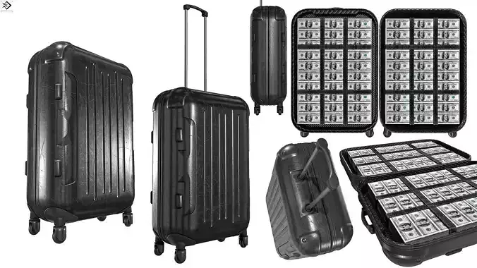 Rolling Travel Suitcase  With Money