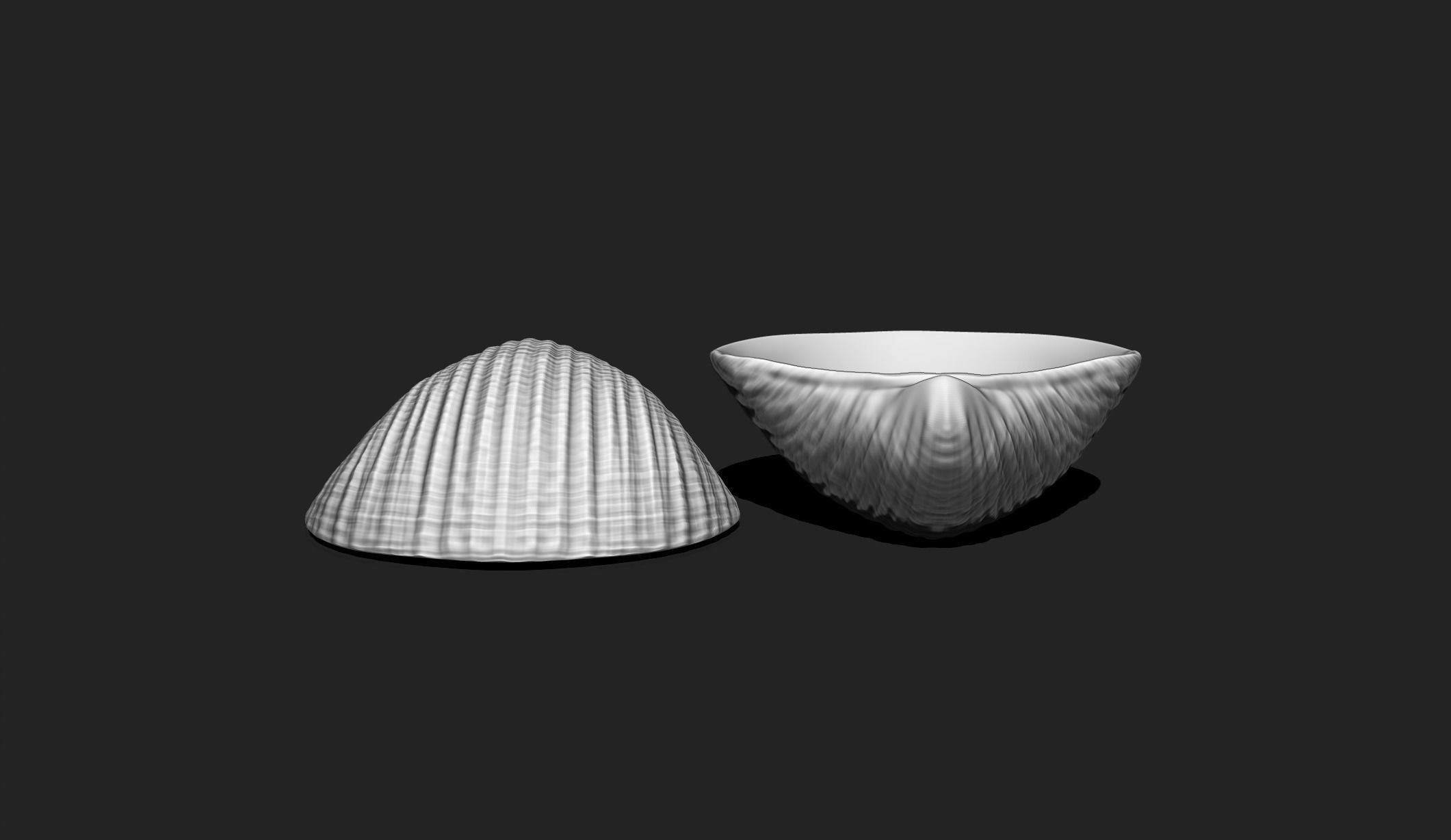 Shell 6 - Sea Shell 3D Printable Model 3D print model_2