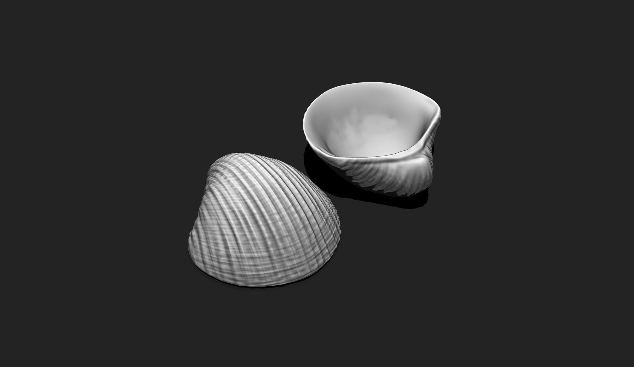 Shell 6 - Sea Shell 3D Printable Model 3D print model_1