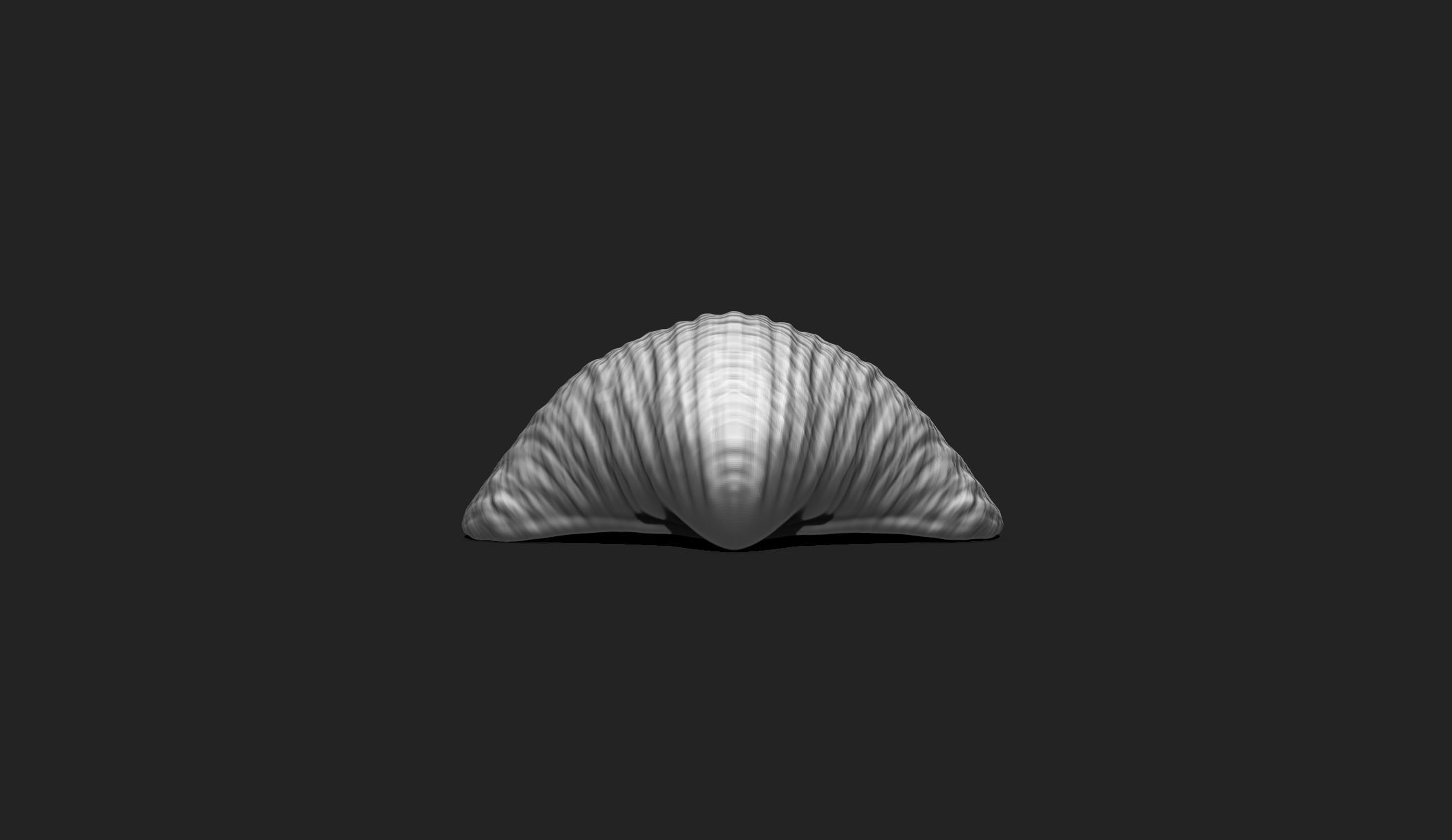 Shell 6 - Sea Shell 3D Printable Model 3D print model_4
