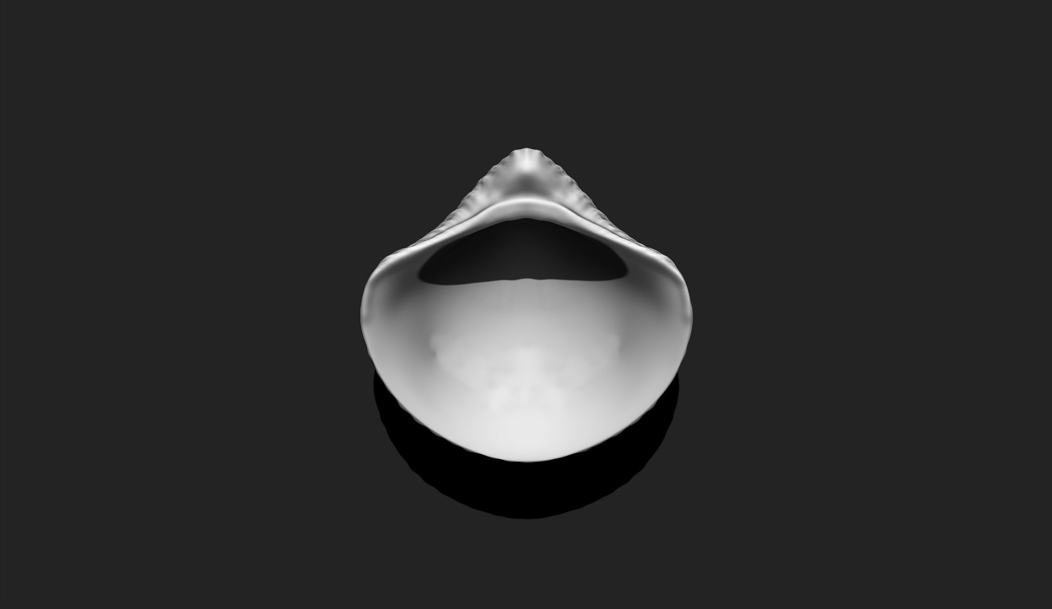 Shell 6 - Sea Shell 3D Printable Model 3D print model_5
