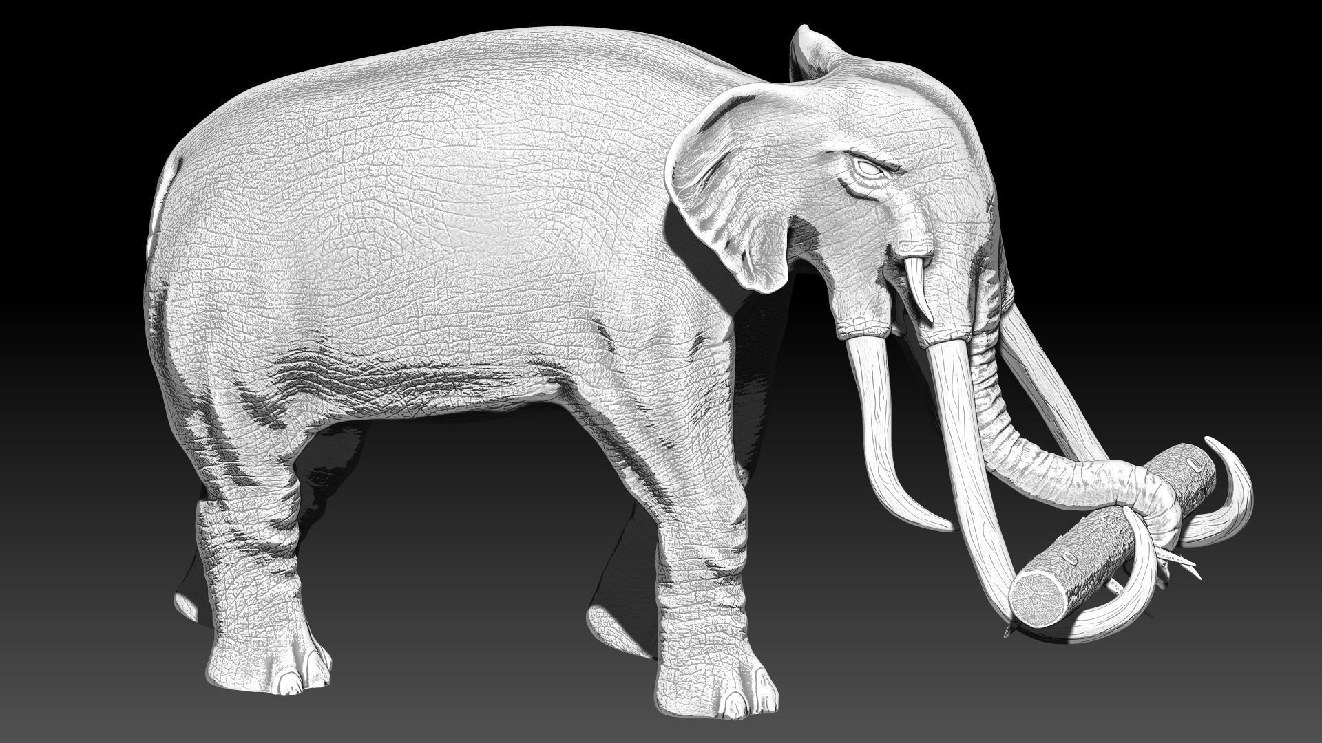 War elephants 3D model_2