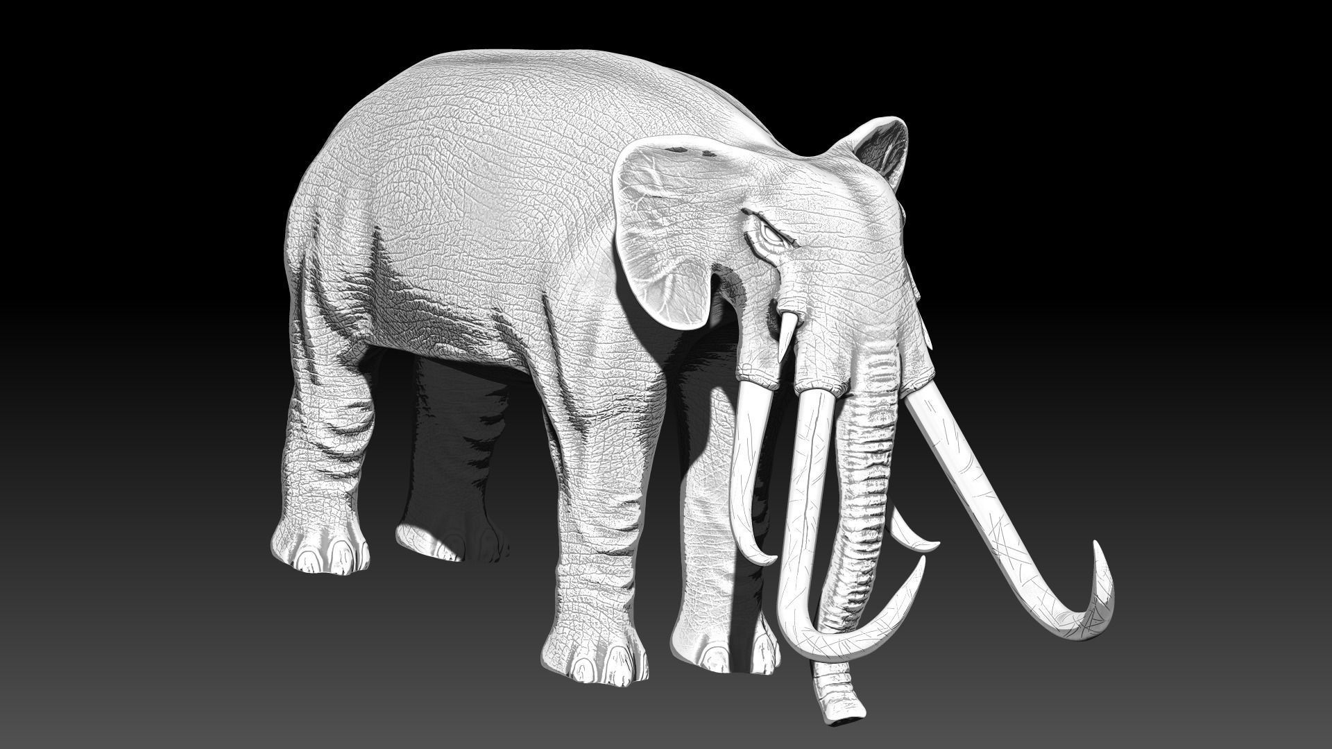 War elephants 3D model_11