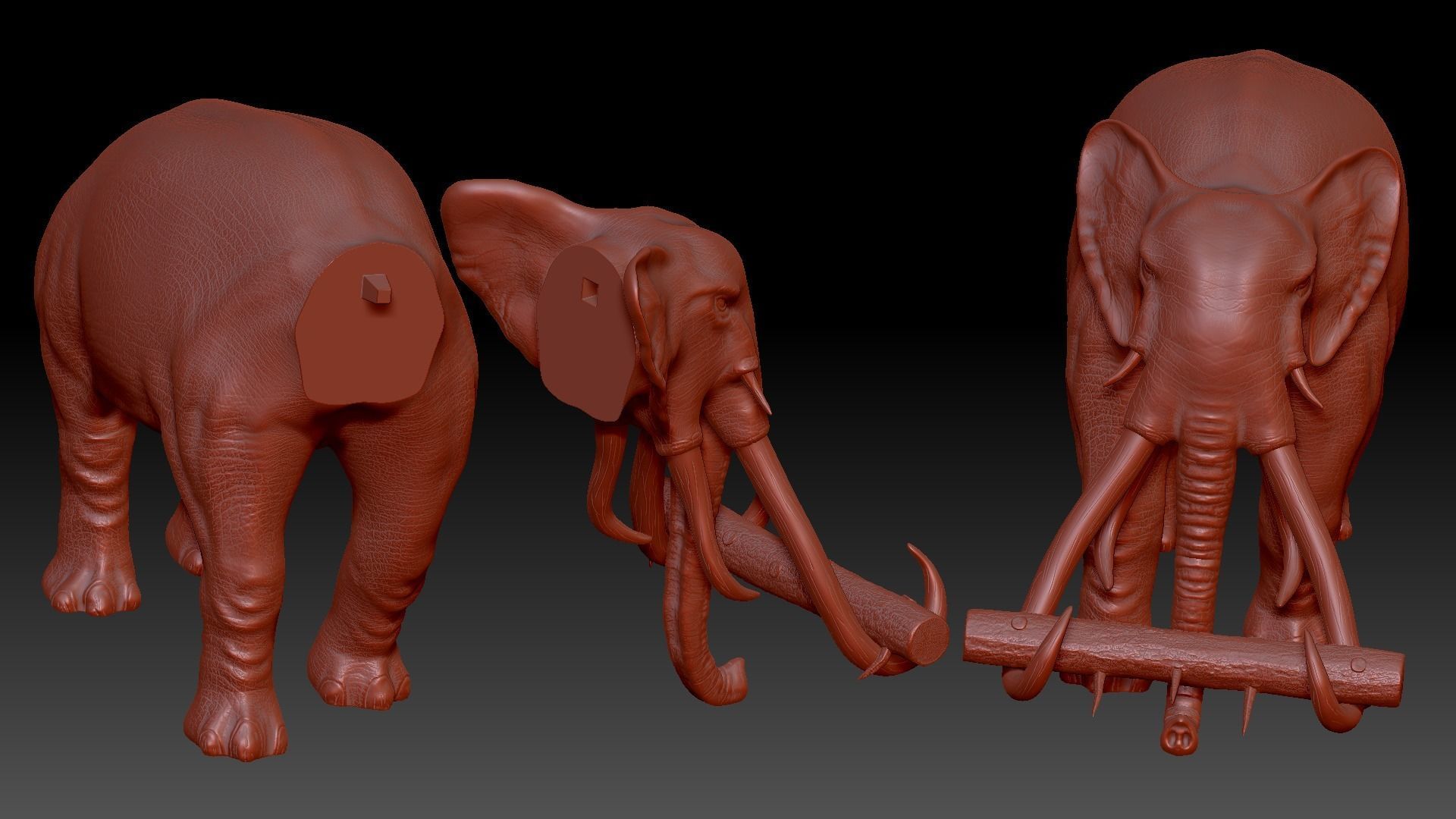 War elephants 3D model_14