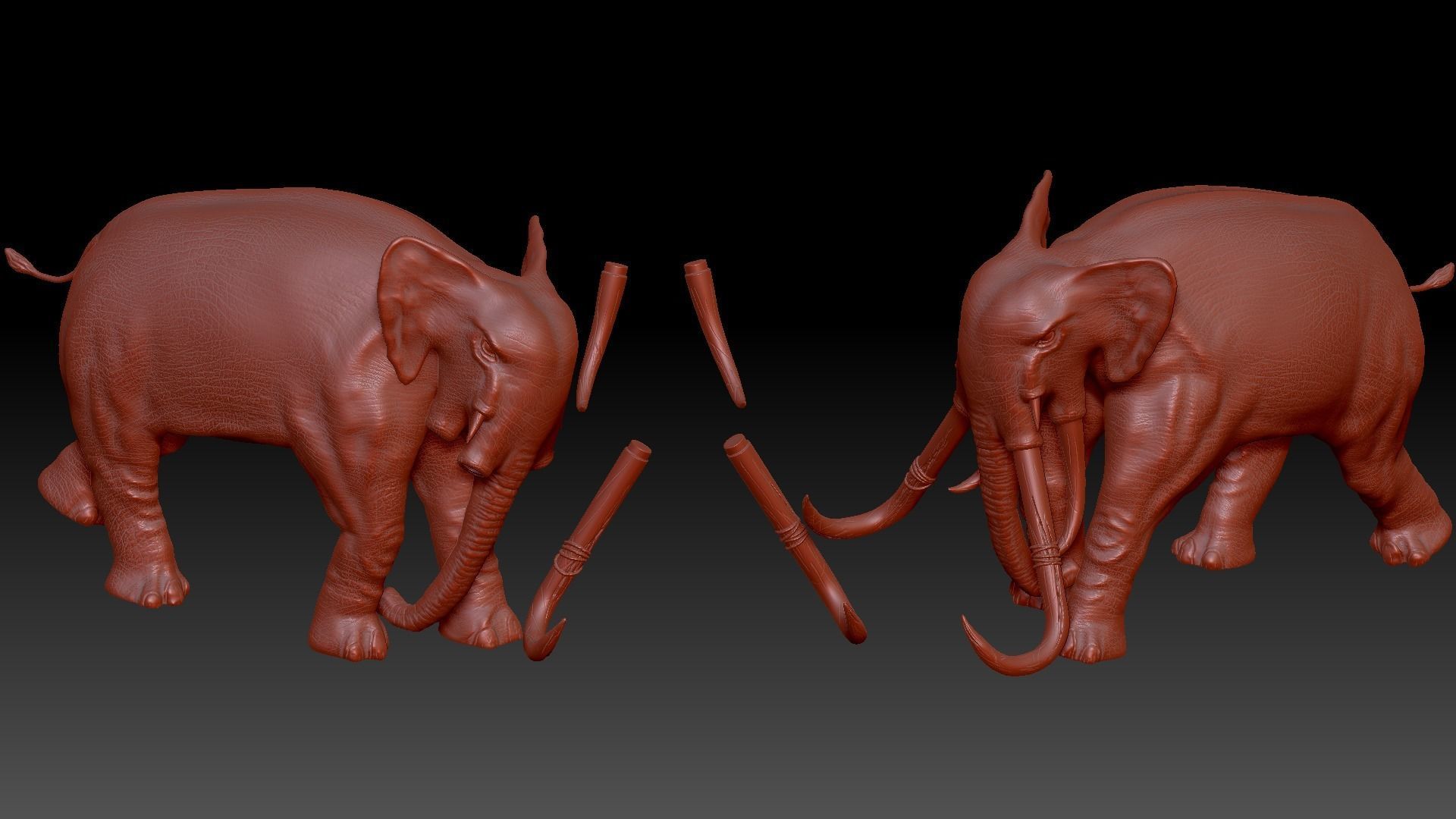 War elephants 3D model_17