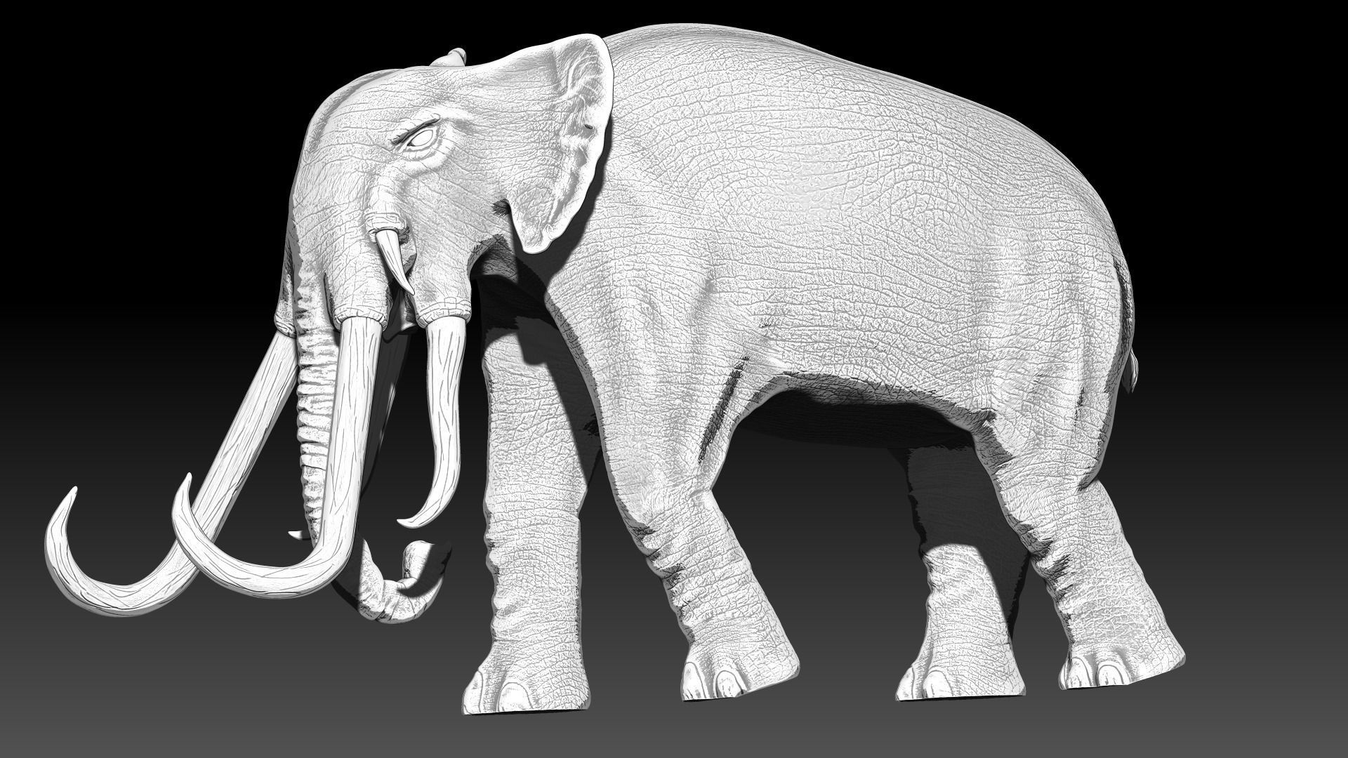 War elephants 3D model_3