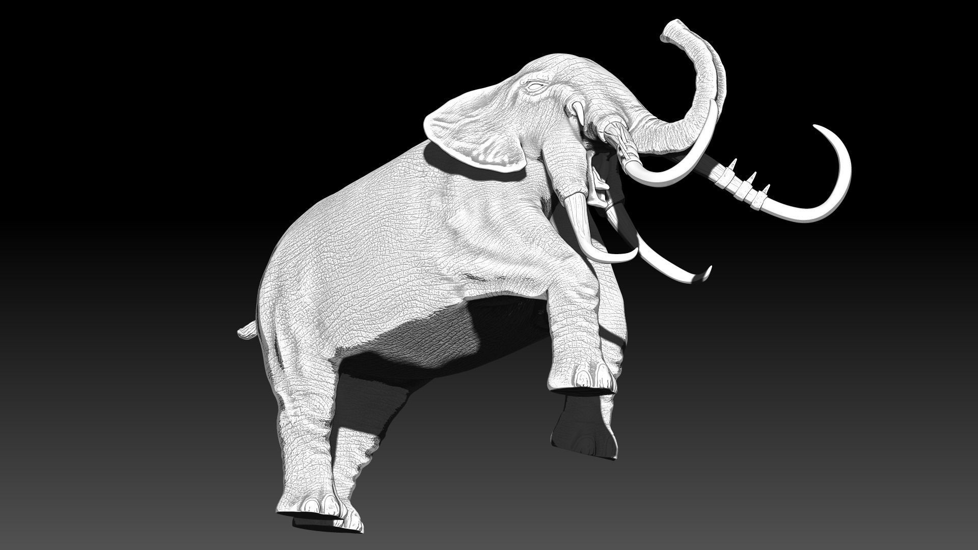War elephants 3D model_6