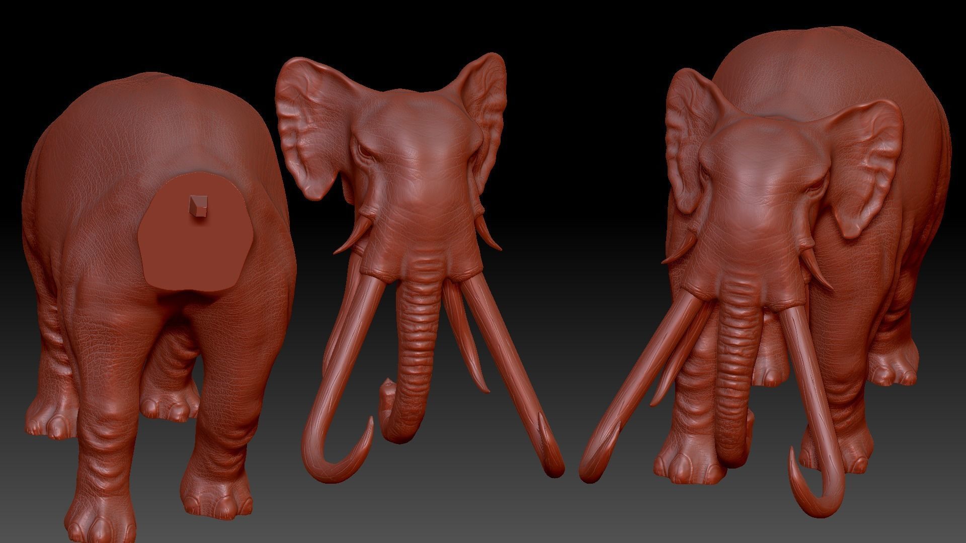 War elephants 3D model_15