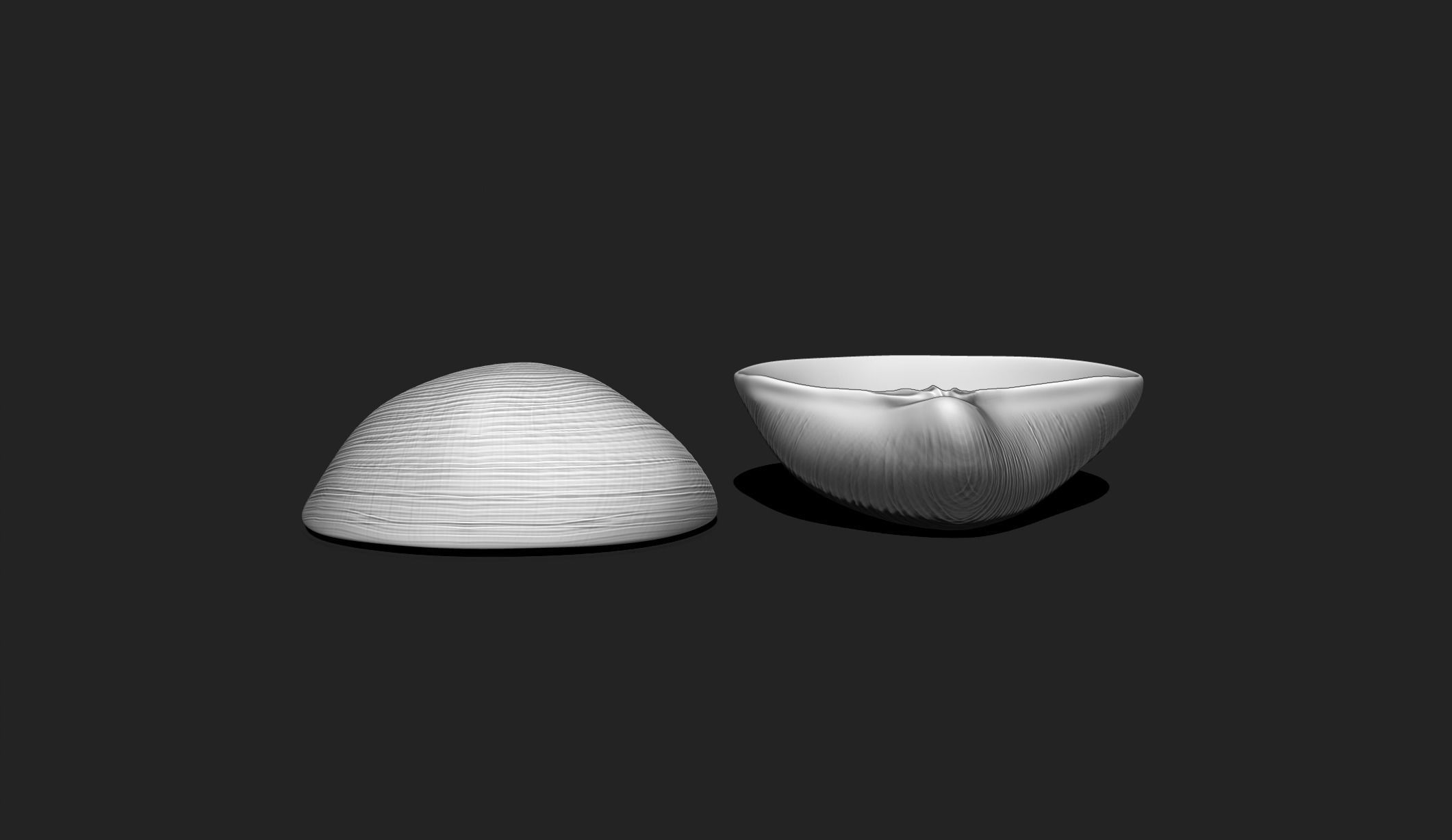 Shell 8 - Sea Shell 3D Printable Model 3D print model_5