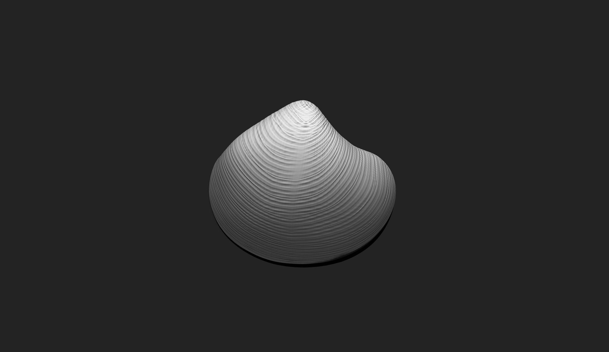 Shell 8 - Sea Shell 3D Printable Model 3D print model_2