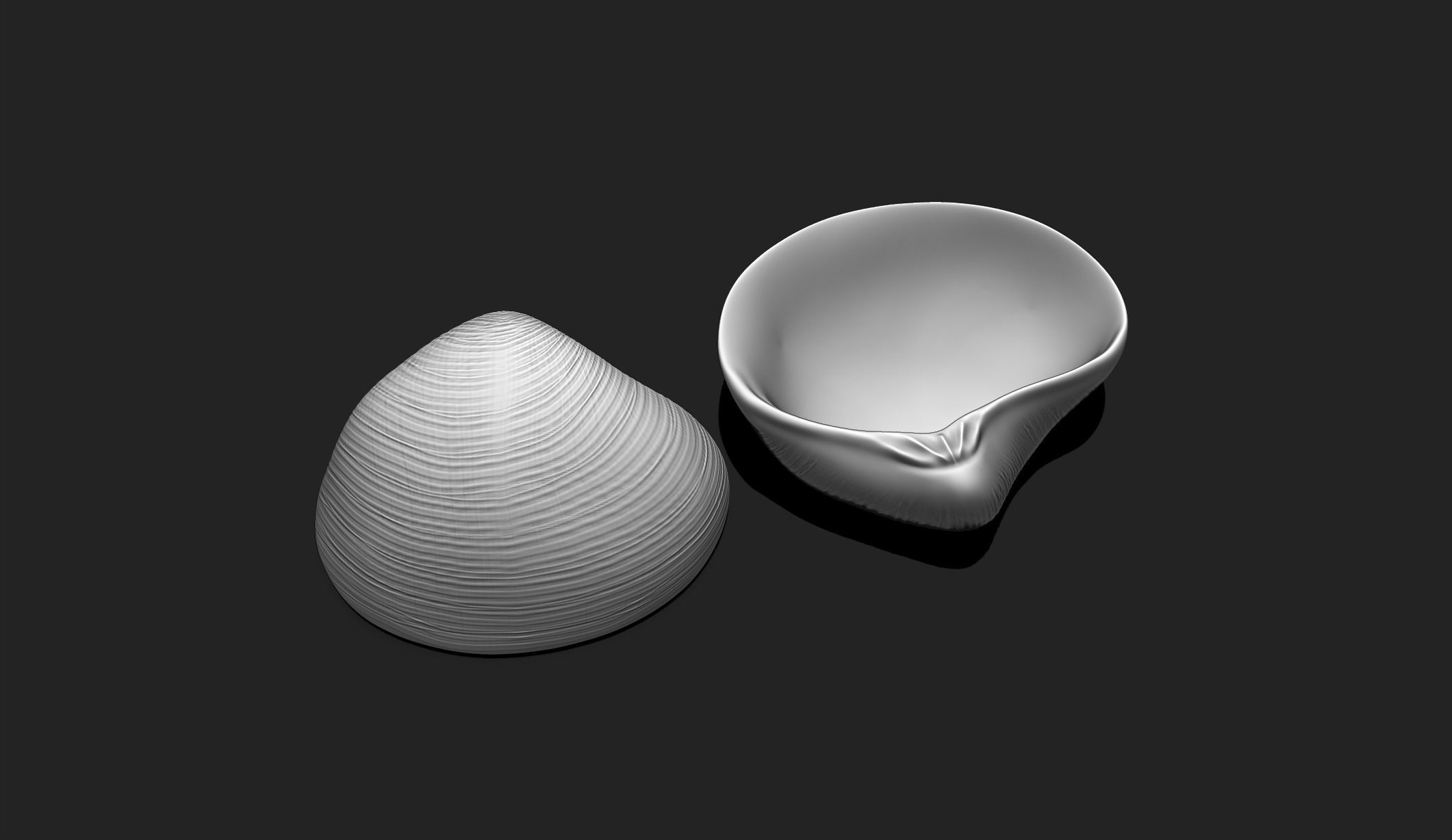 Shell 8 - Sea Shell 3D Printable Model 3D print model_1
