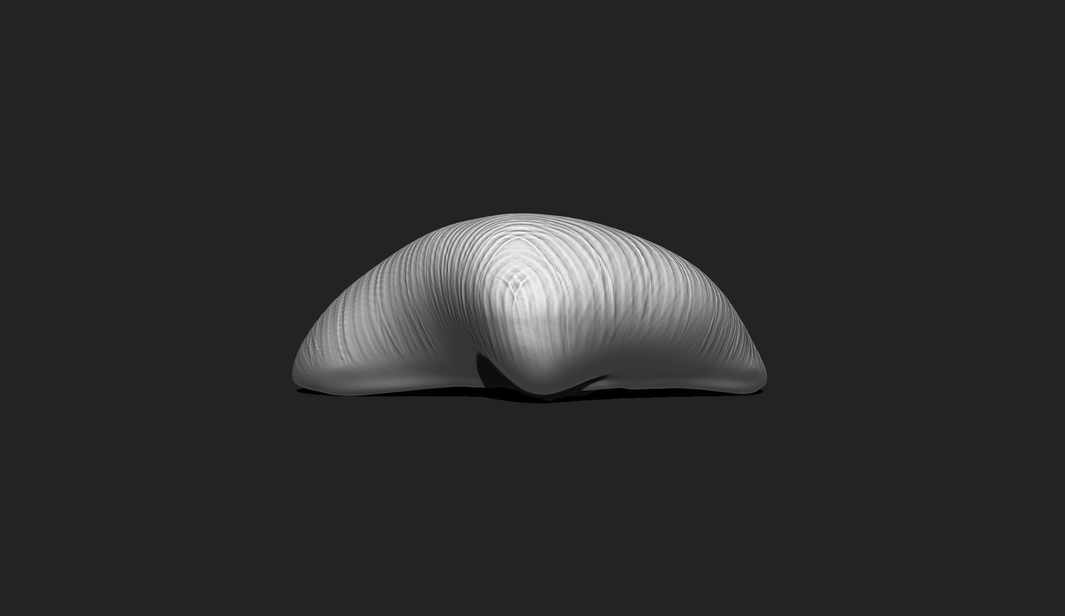 Shell 8 - Sea Shell 3D Printable Model 3D print model_4