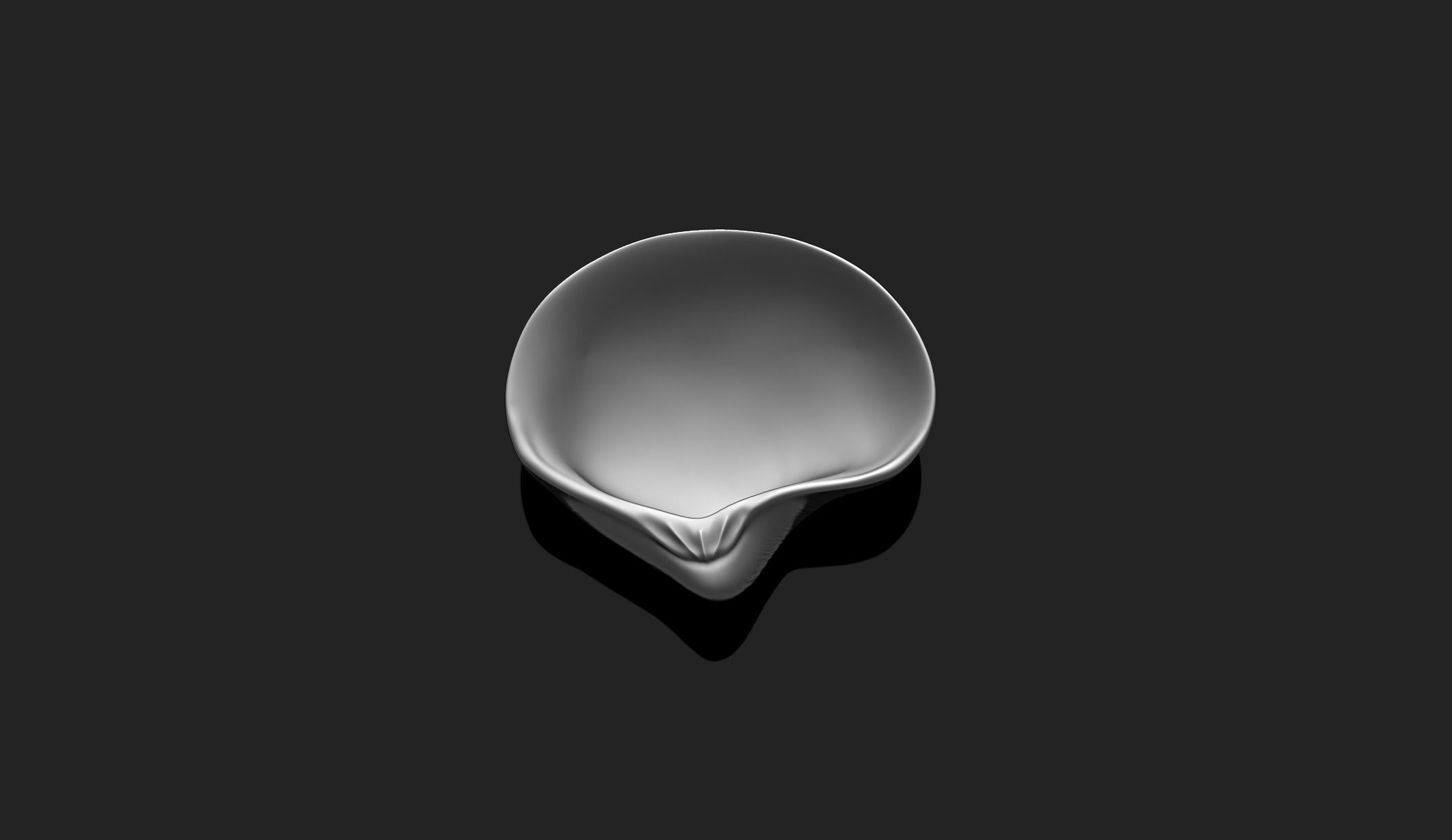 Shell 8 - Sea Shell 3D Printable Model 3D print model_3