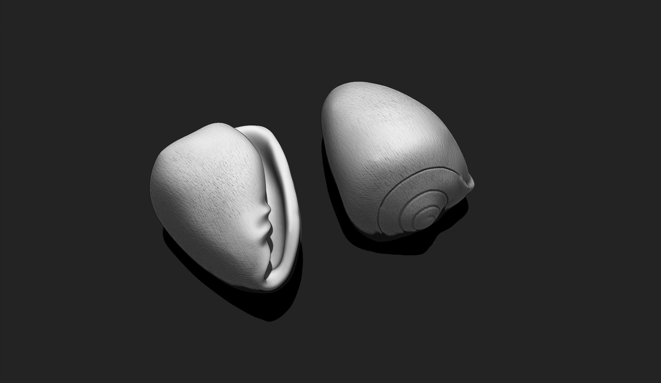 Shell 9 - Sea Shell 3D Printable Model 3D print model_1