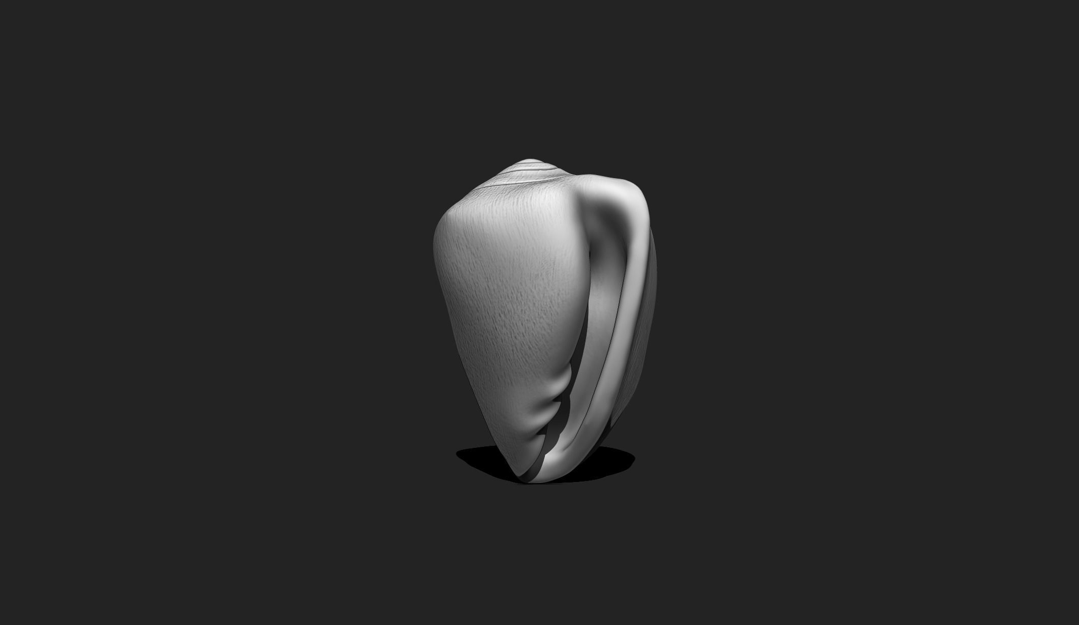 Shell 9 - Sea Shell 3D Printable Model 3D print model_4